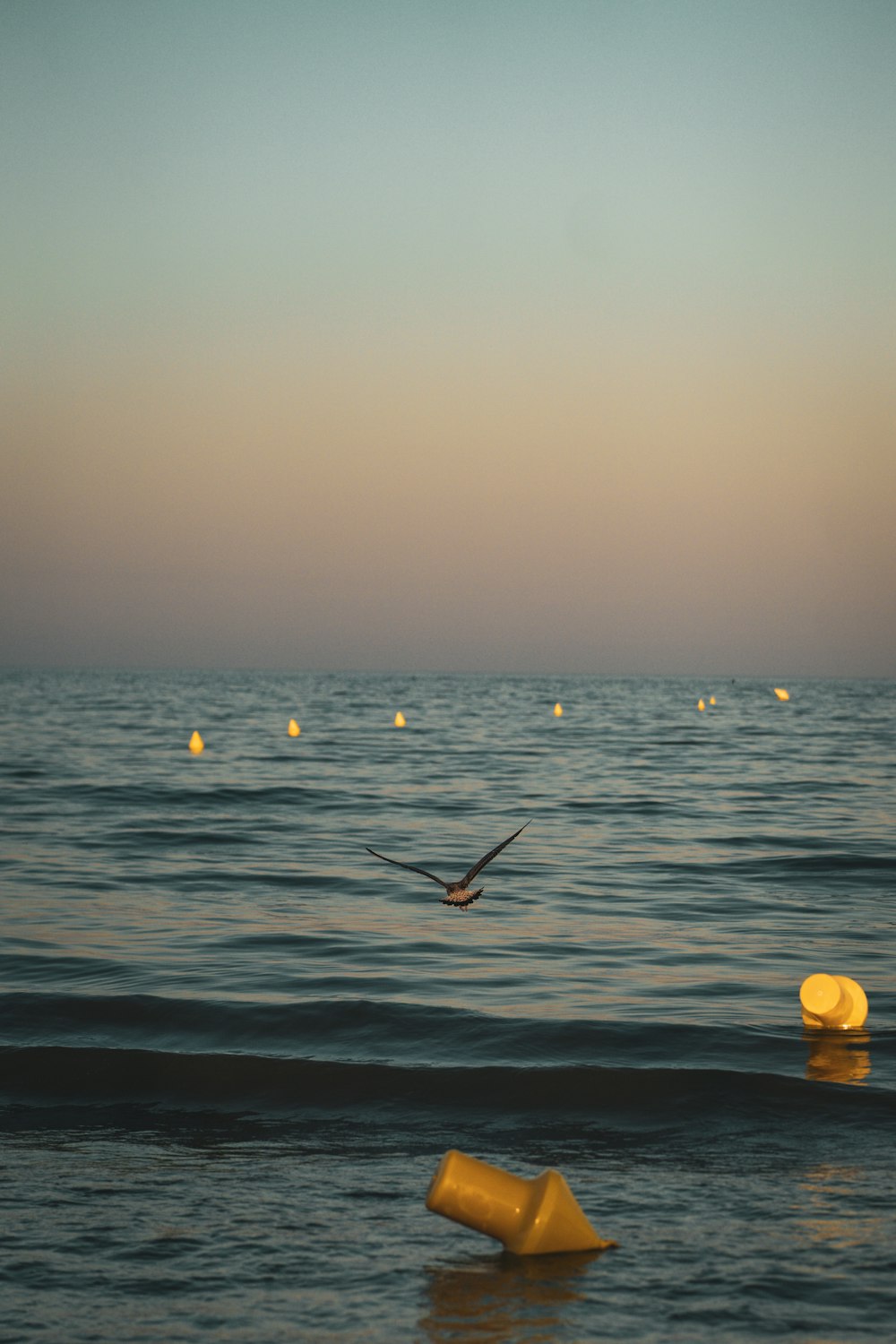 a bird flying over a body of water