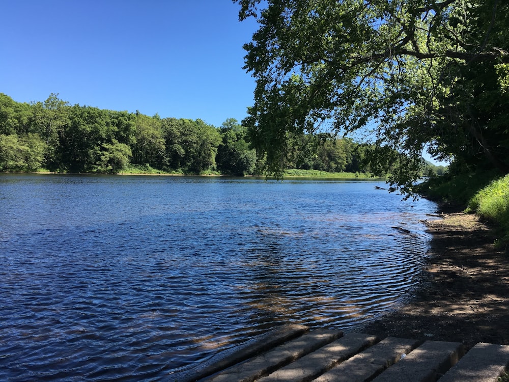 a river with trees on the side