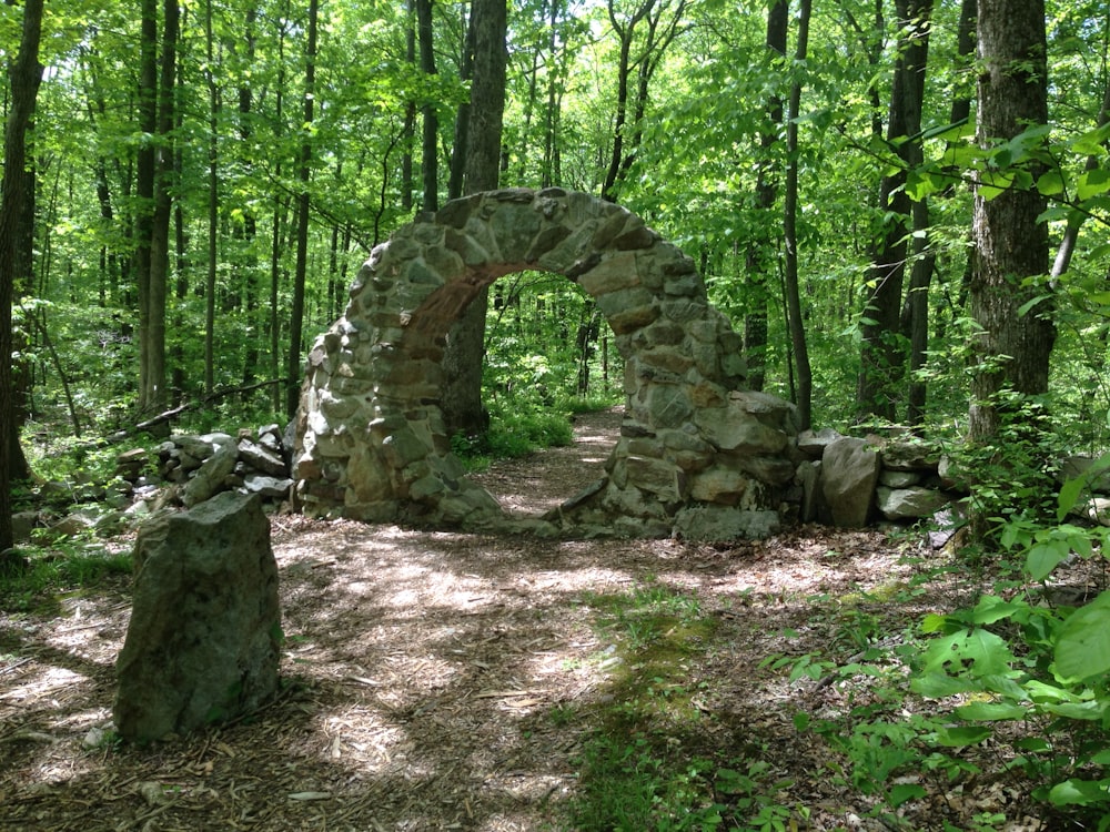 a rock formation in the middle of a forest