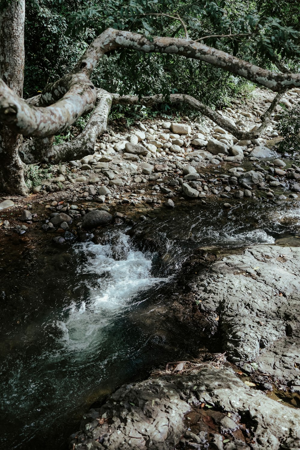 Ein kleiner Wasserfall in einem Wald