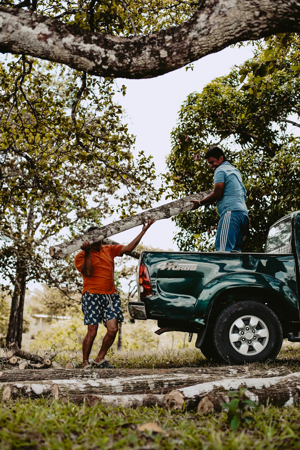 a man and a woman holding a tree branch