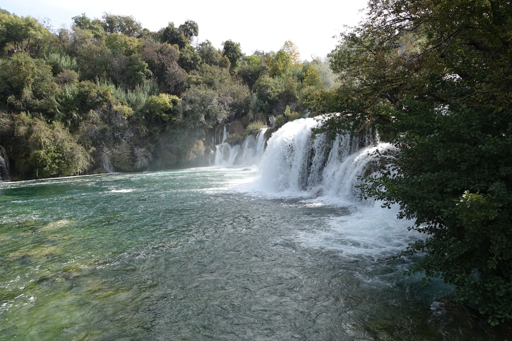 a waterfall surrounded by trees