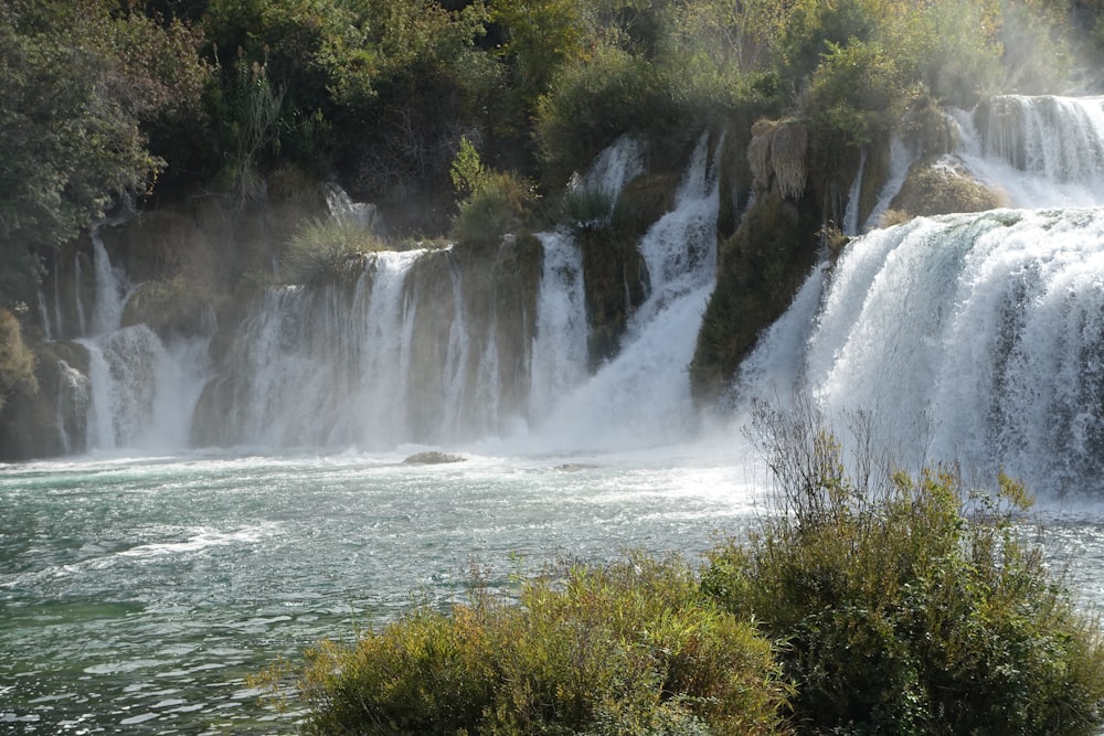 a waterfall with trees and bushes around it