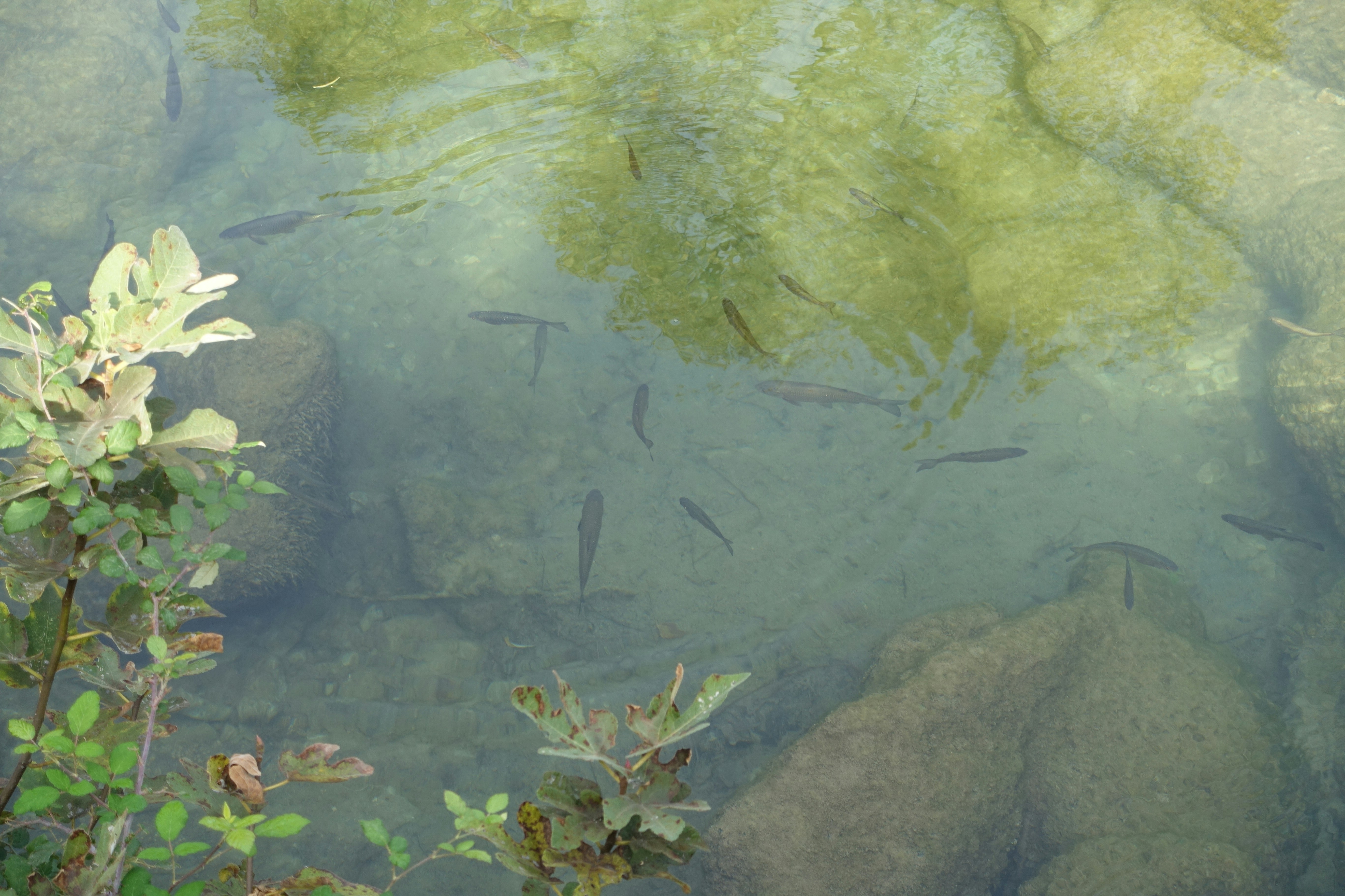 Photo by mgketteridge