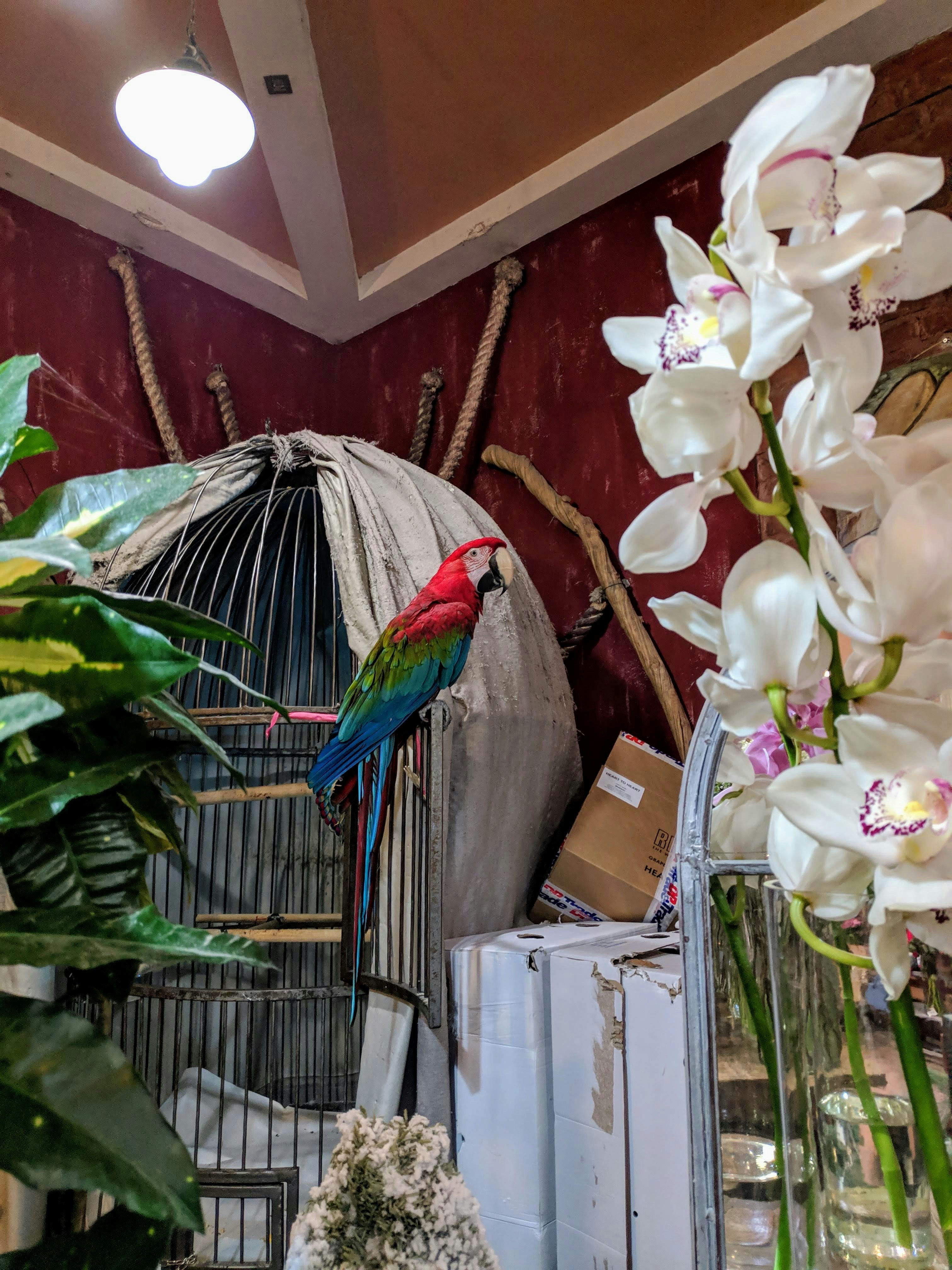 Home Sweet Home (image credits: unsplash)