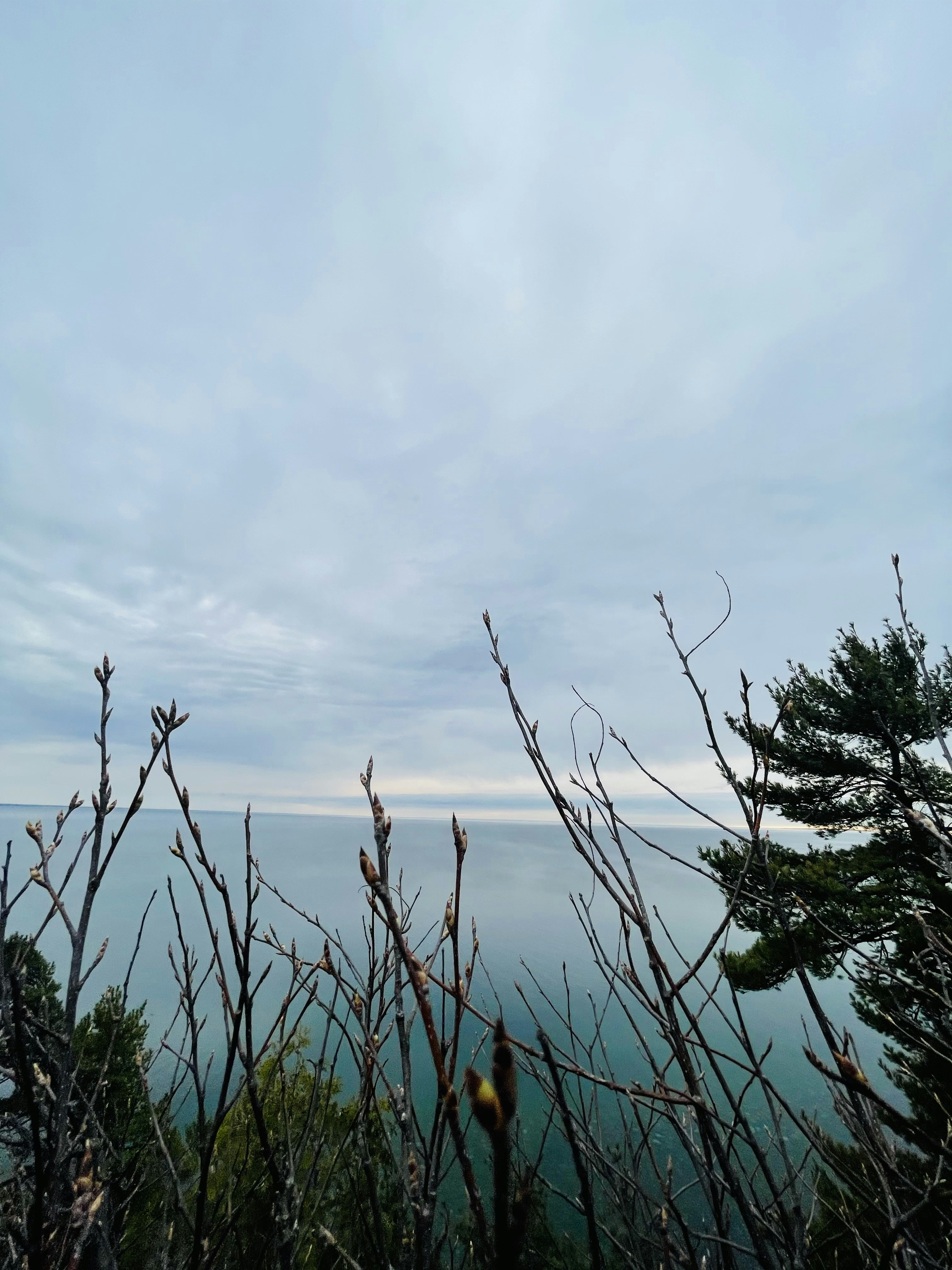 Photo by karamjsingh