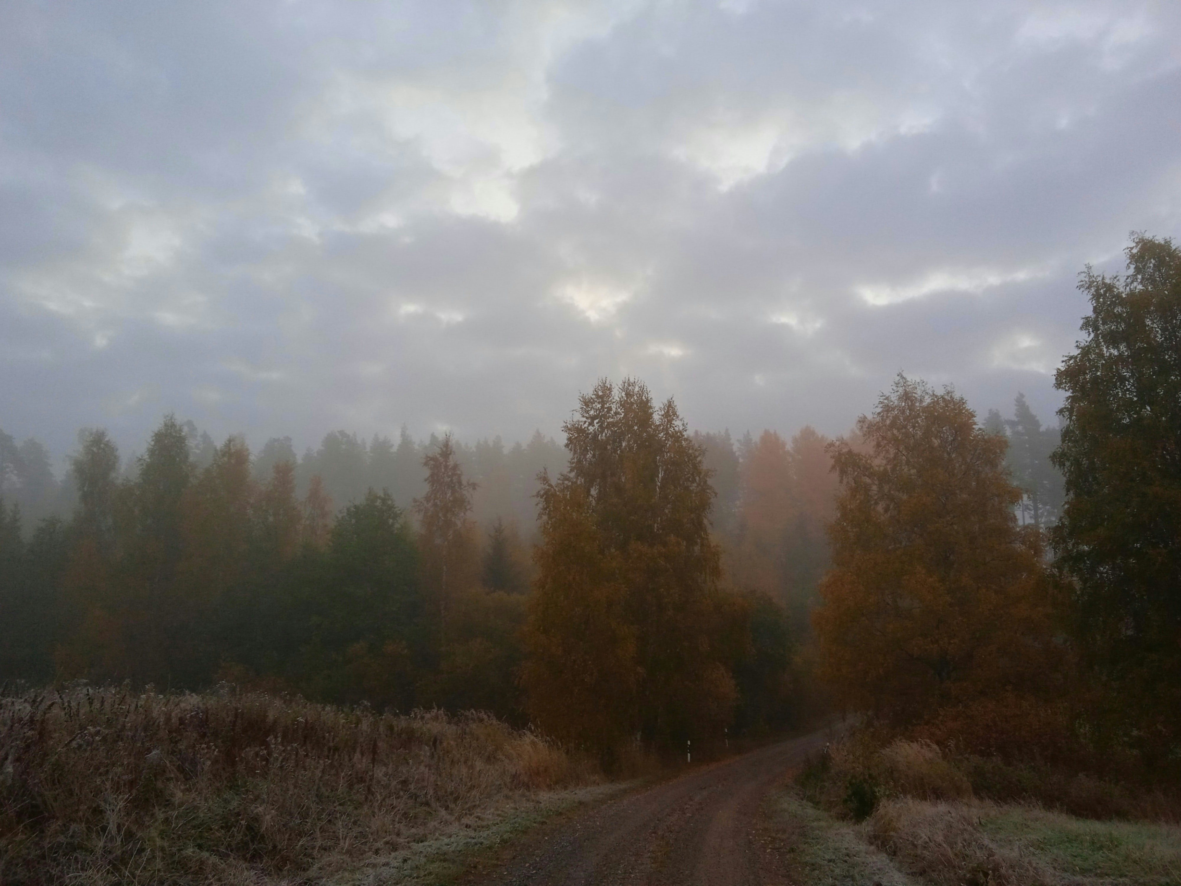 Photo by rkkuva