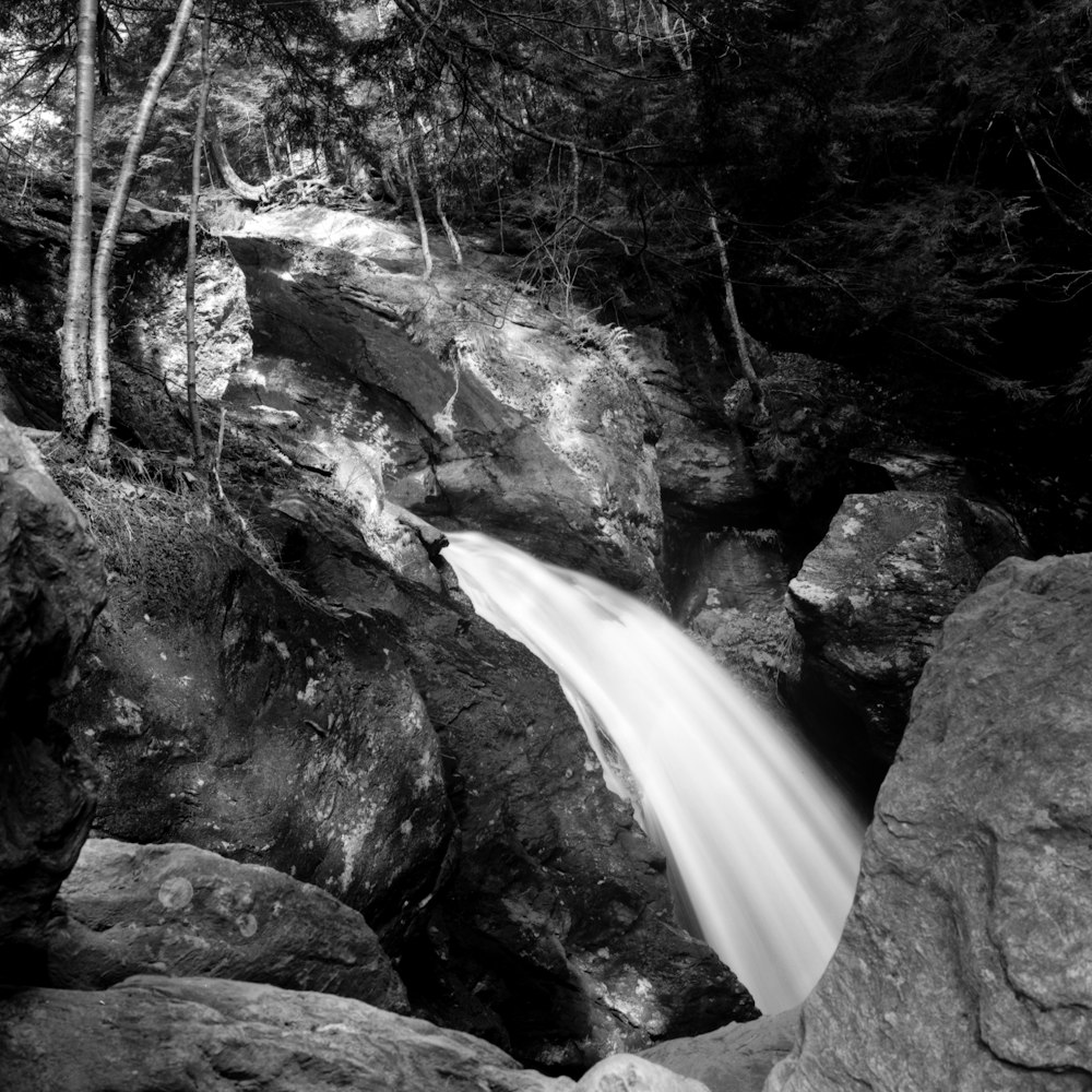 a waterfall in a forest