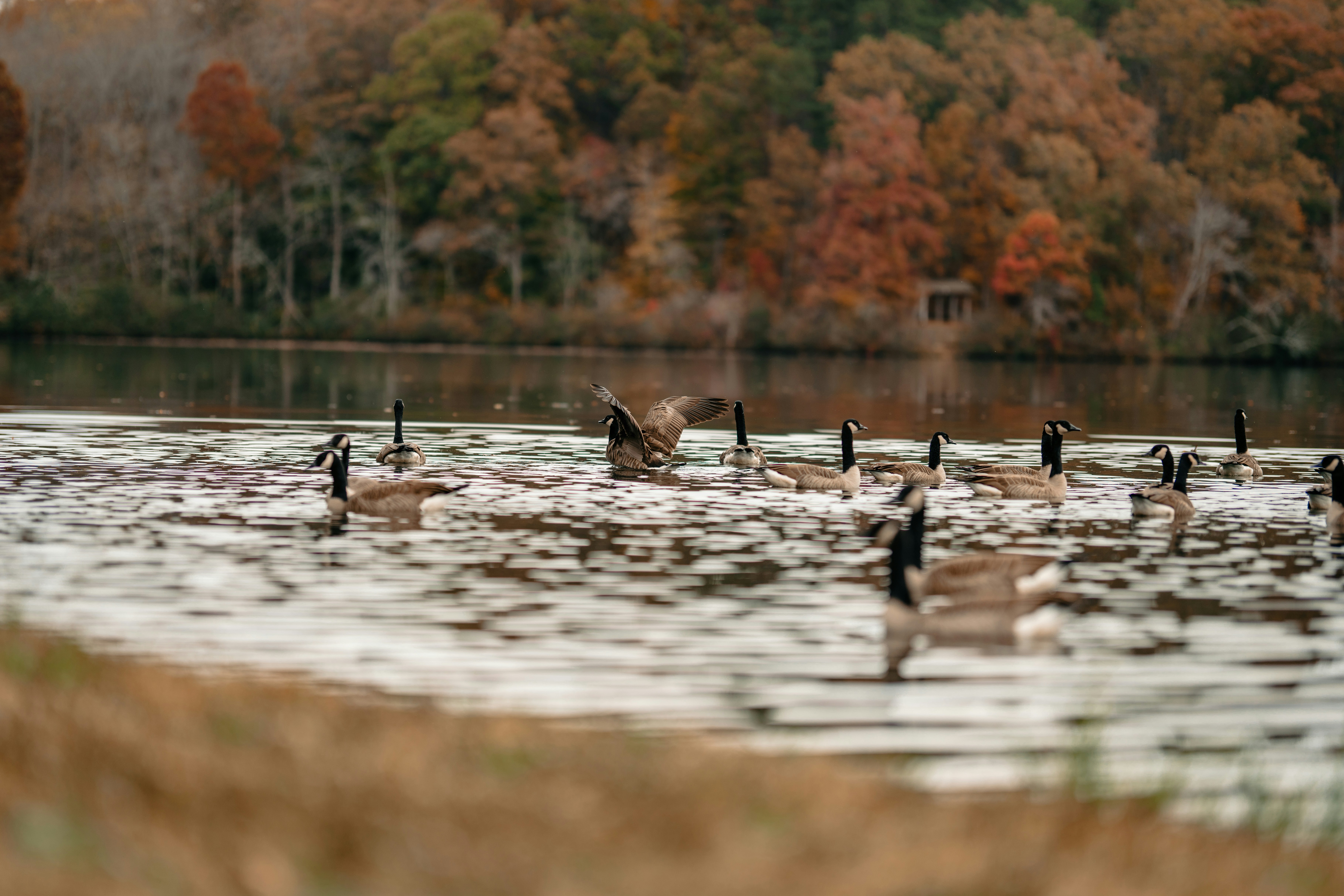 Photo by colemangloverphotography