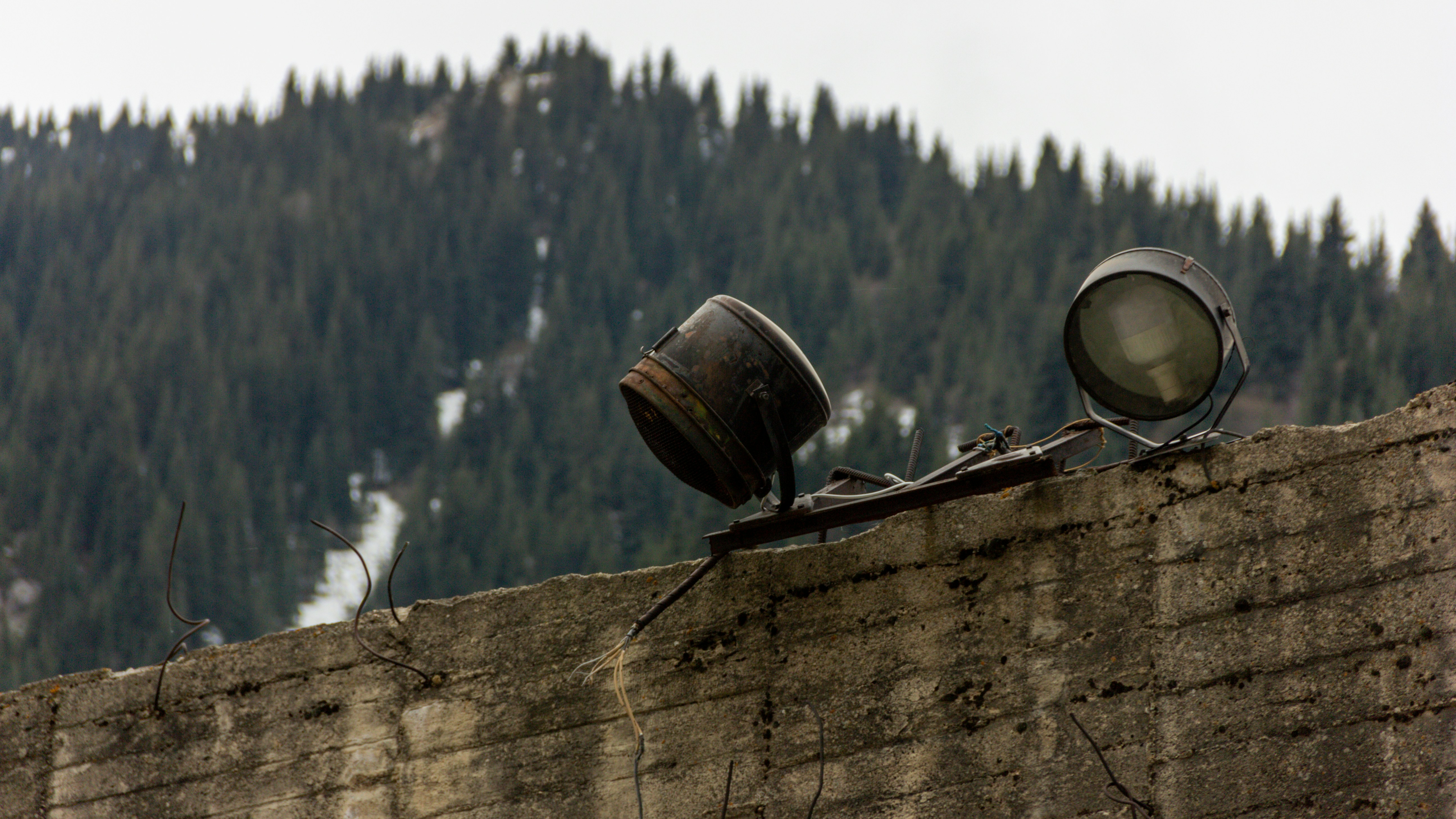 a pair of binoculars on a tree stump