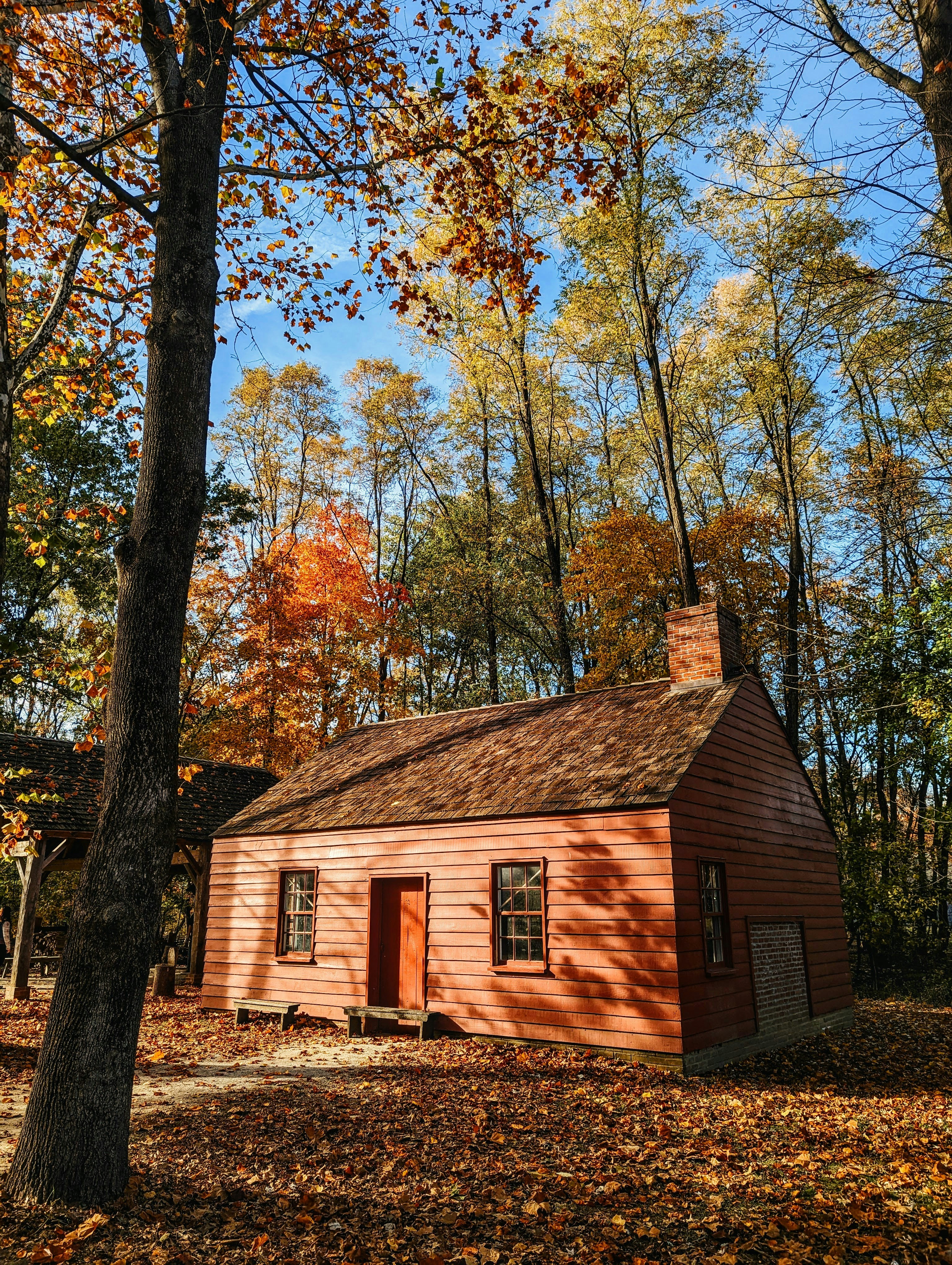 a house with trees around it