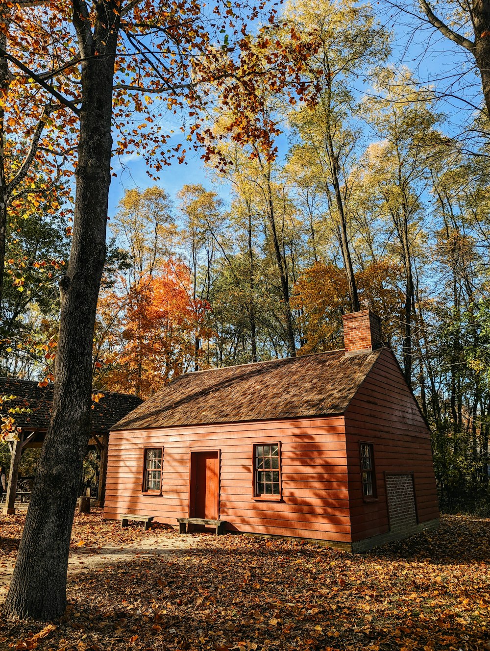 a house with trees around it