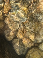 An assortment of rocks submerged underwater, displaying various sizes and shapes. The rocks have a natural mix of earthy tones including browns, tans, and grays. The surface appearance is smooth due to water distortion, and sunlight creates dynamic shadows and highlights on the stones.