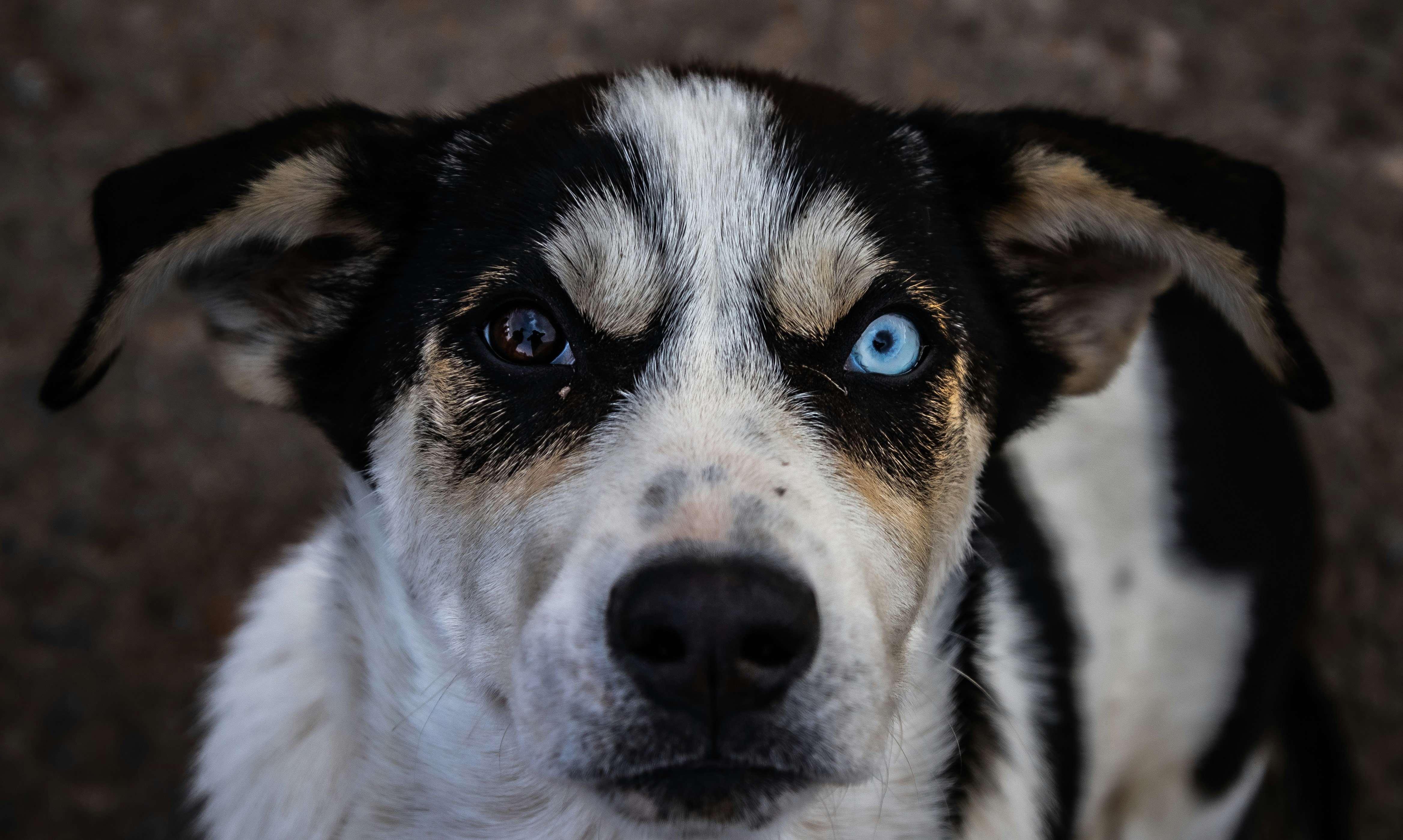 Photo by starkie_pics