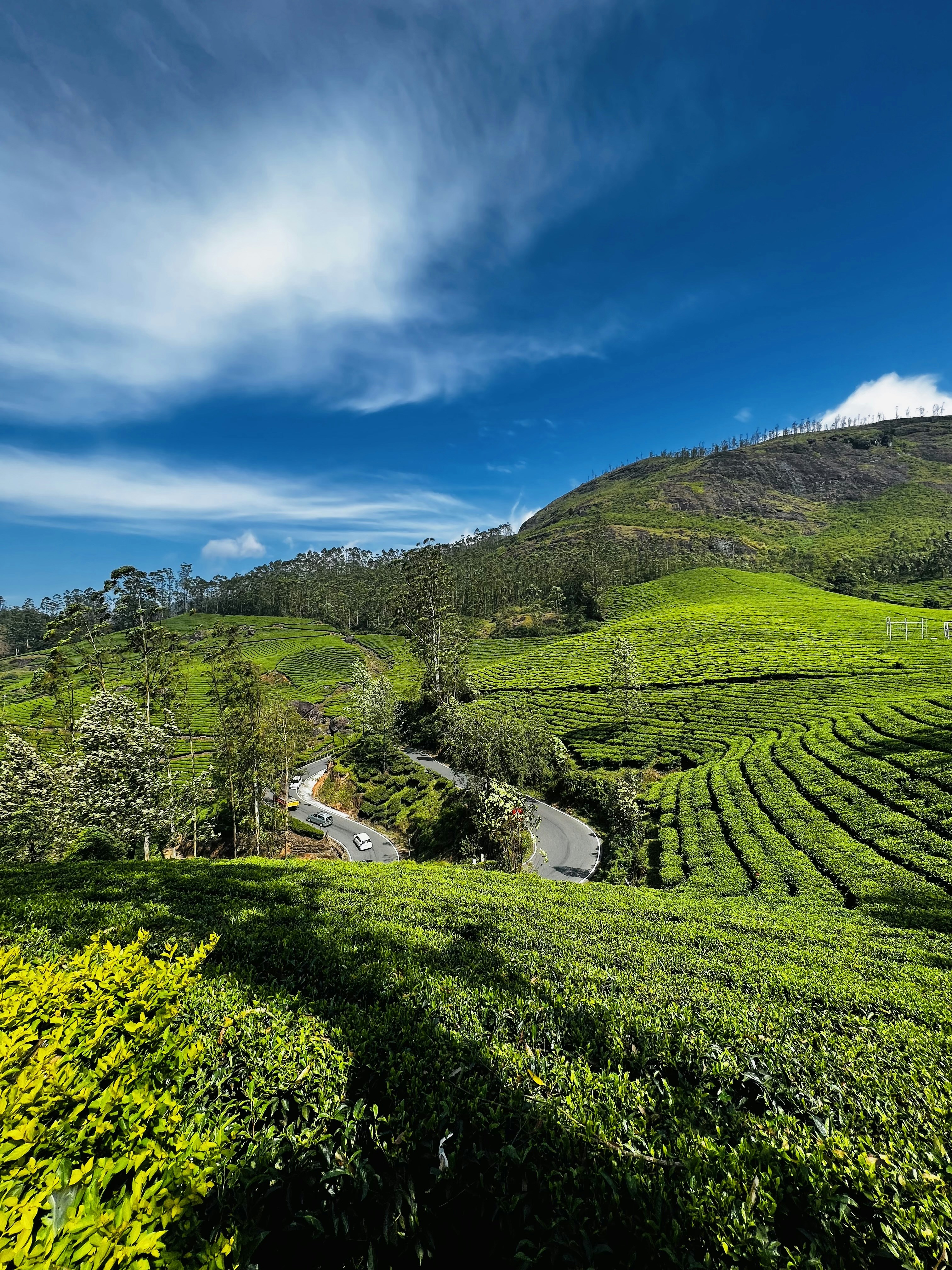 Photo by kenethabhilash