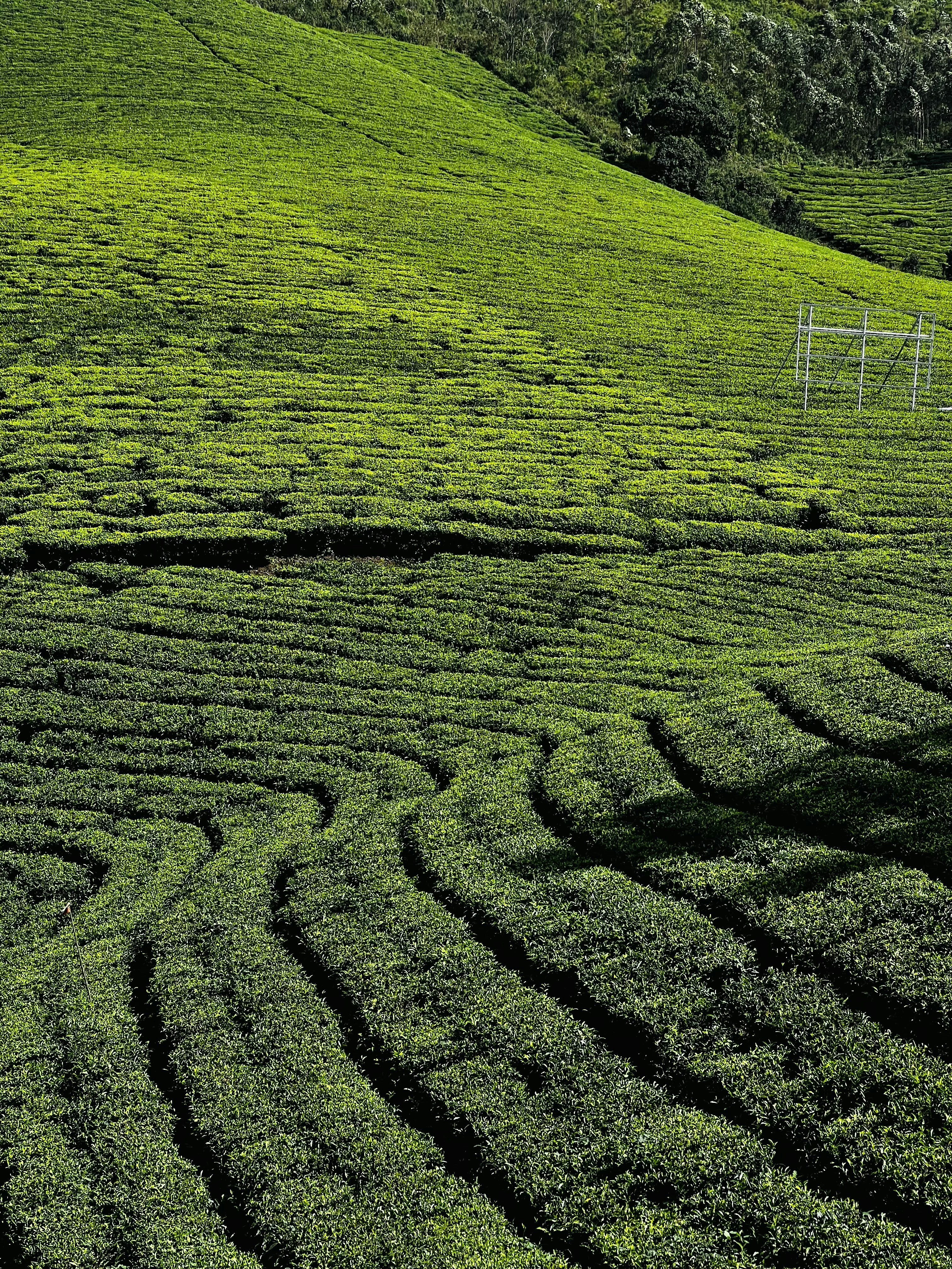 Photo by kenethabhilash