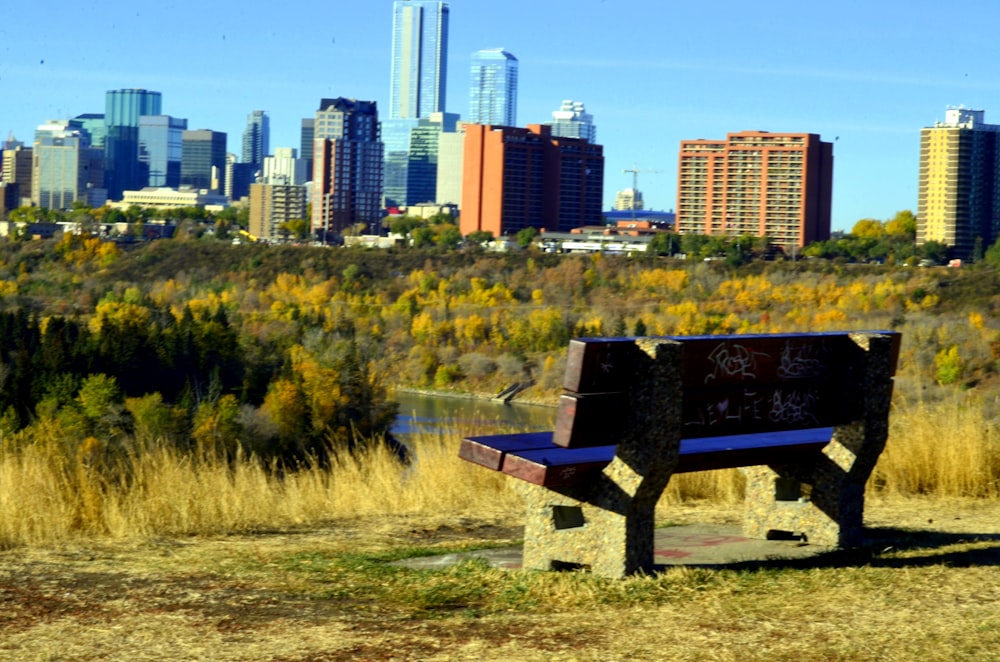 a bench sits unoccupied