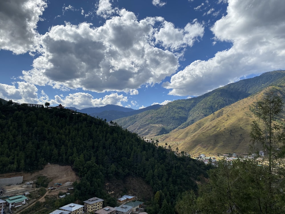 a landscape with trees and buildings