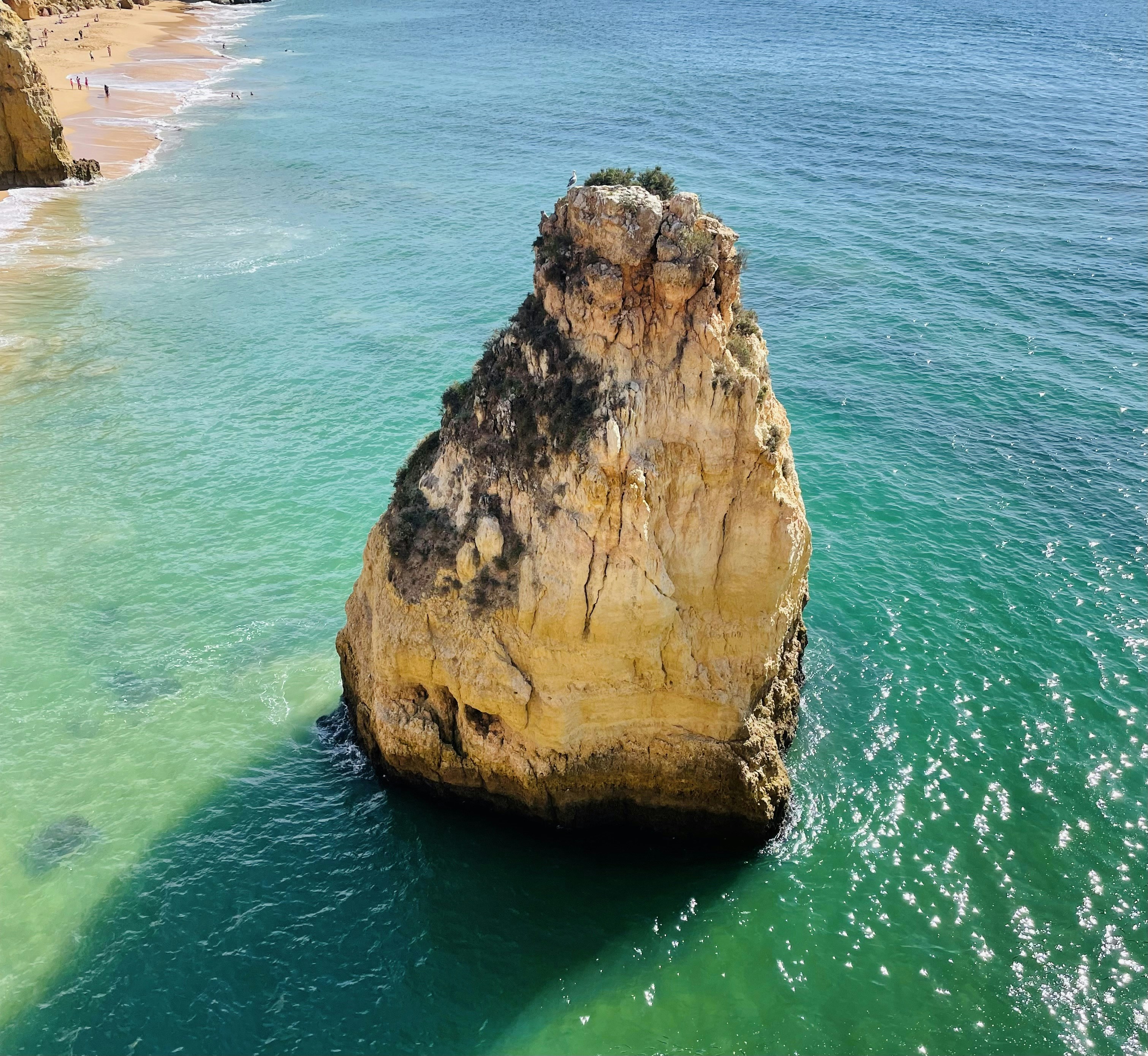 Photo by galifianakis