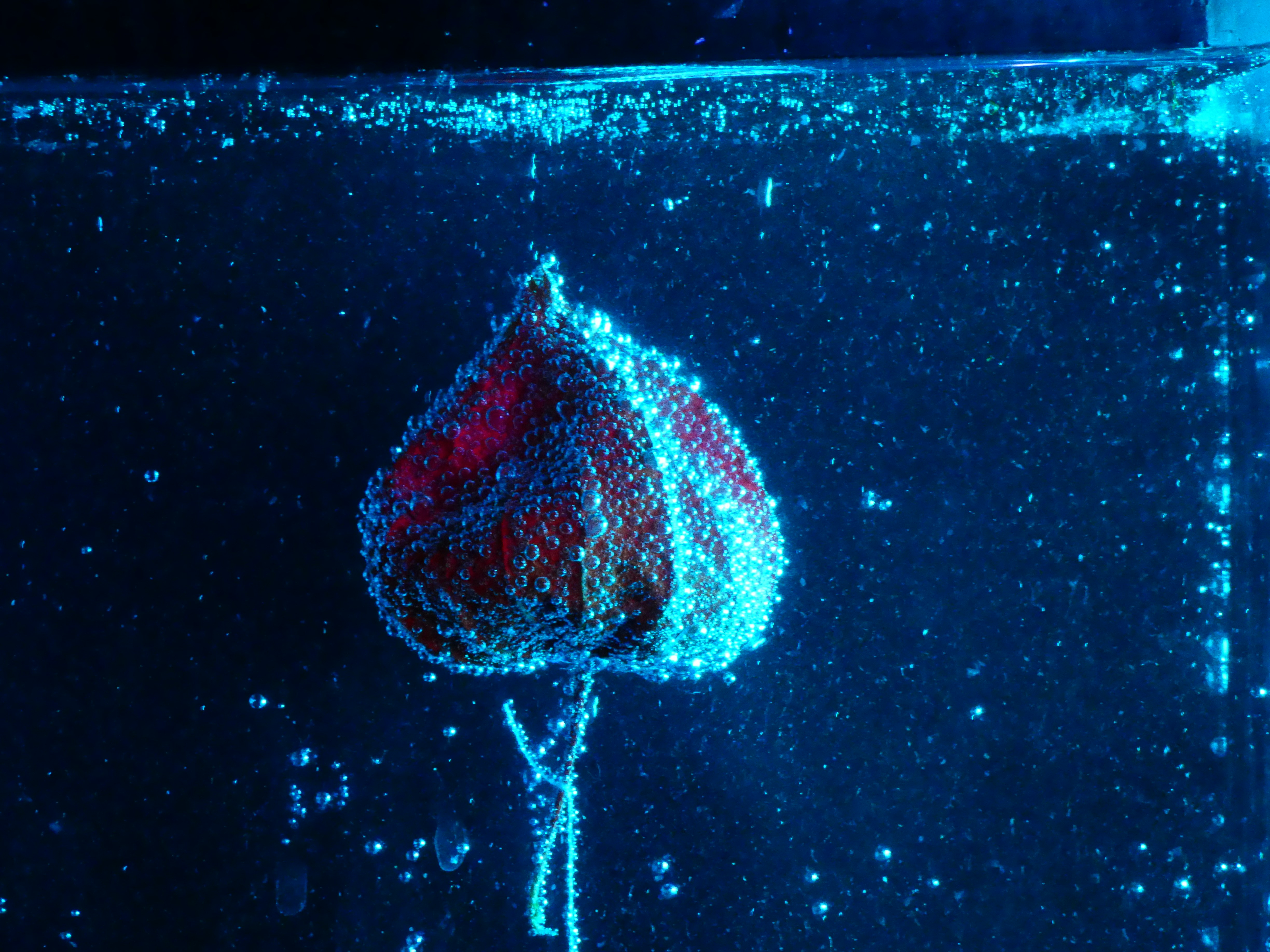 Inside Fizzy's Authentication Architecture: A Three-Tier Approach to Multi-Tenant SaaS