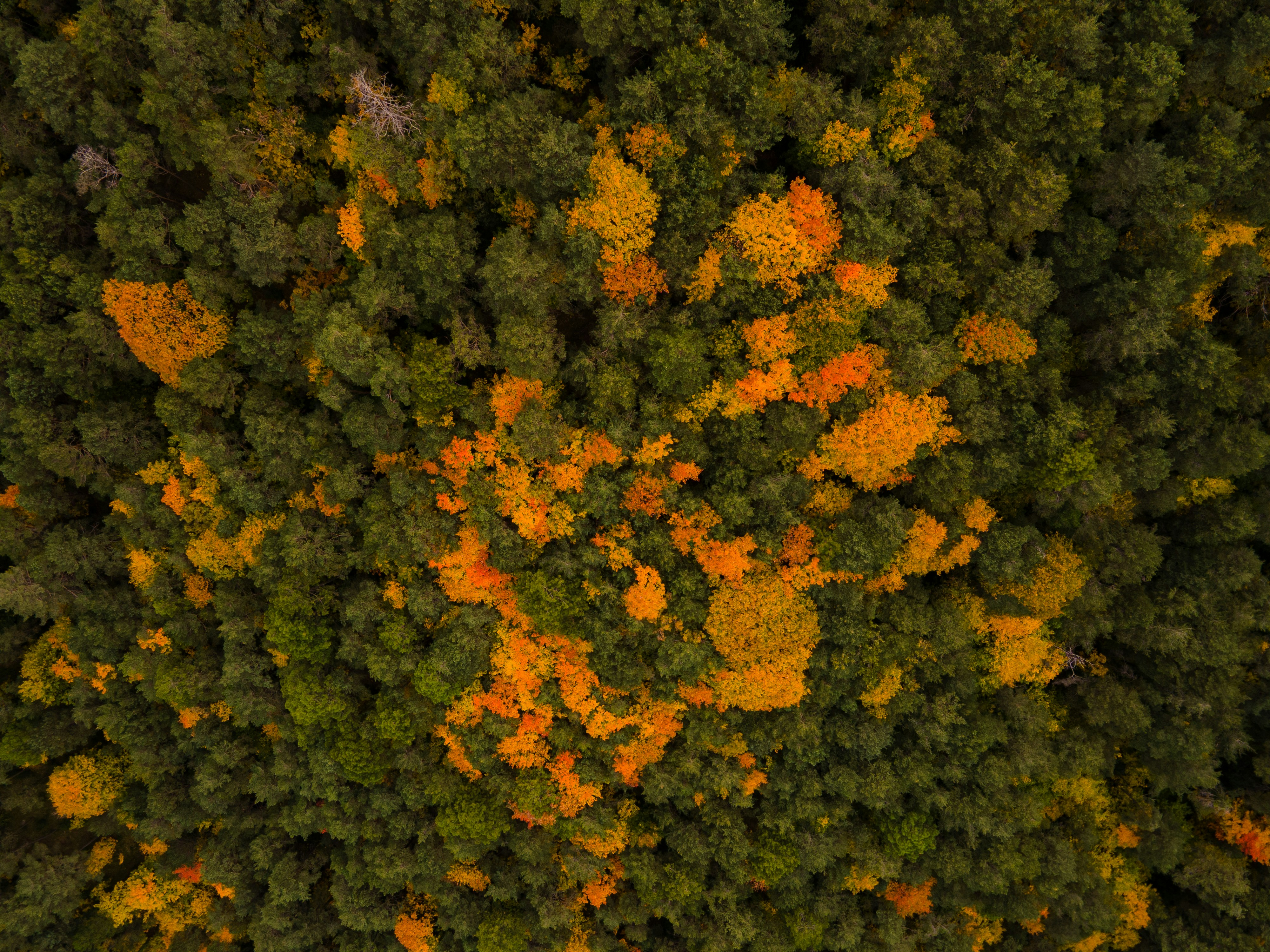 Photo by bernatmoreno