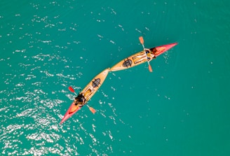 a person in a small airplane