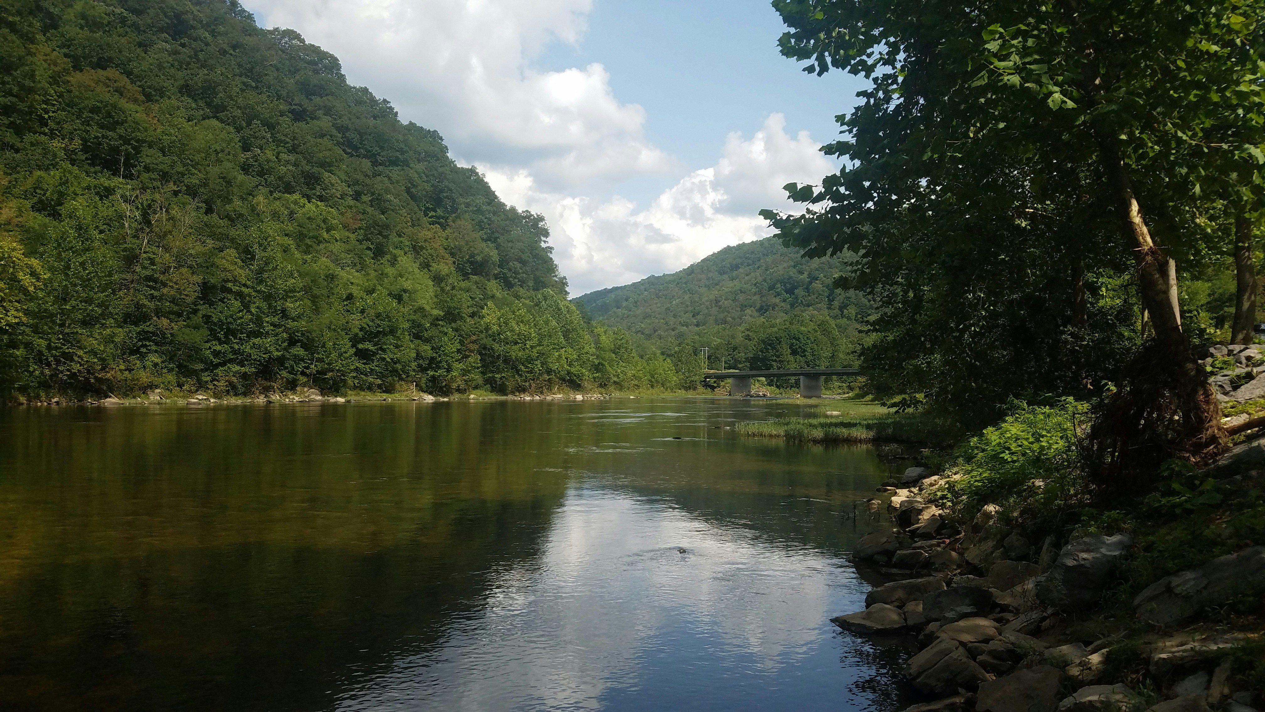 a river with rocks and trees