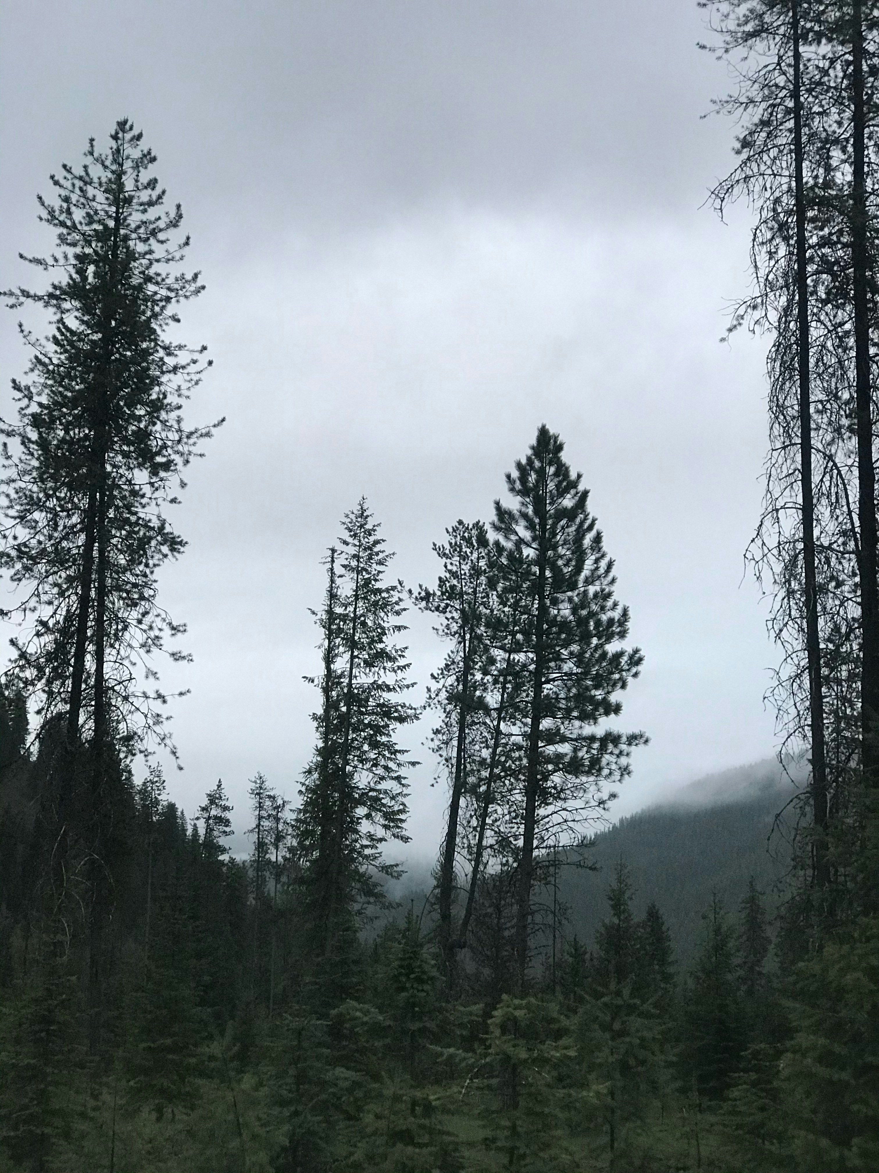 Photo by kynzie_ware