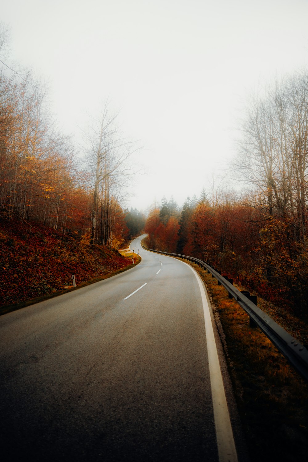 Une route arborée sur le côté