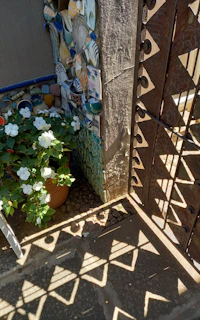 A finished mosaic installation on a garden wall catching the afternoon light.