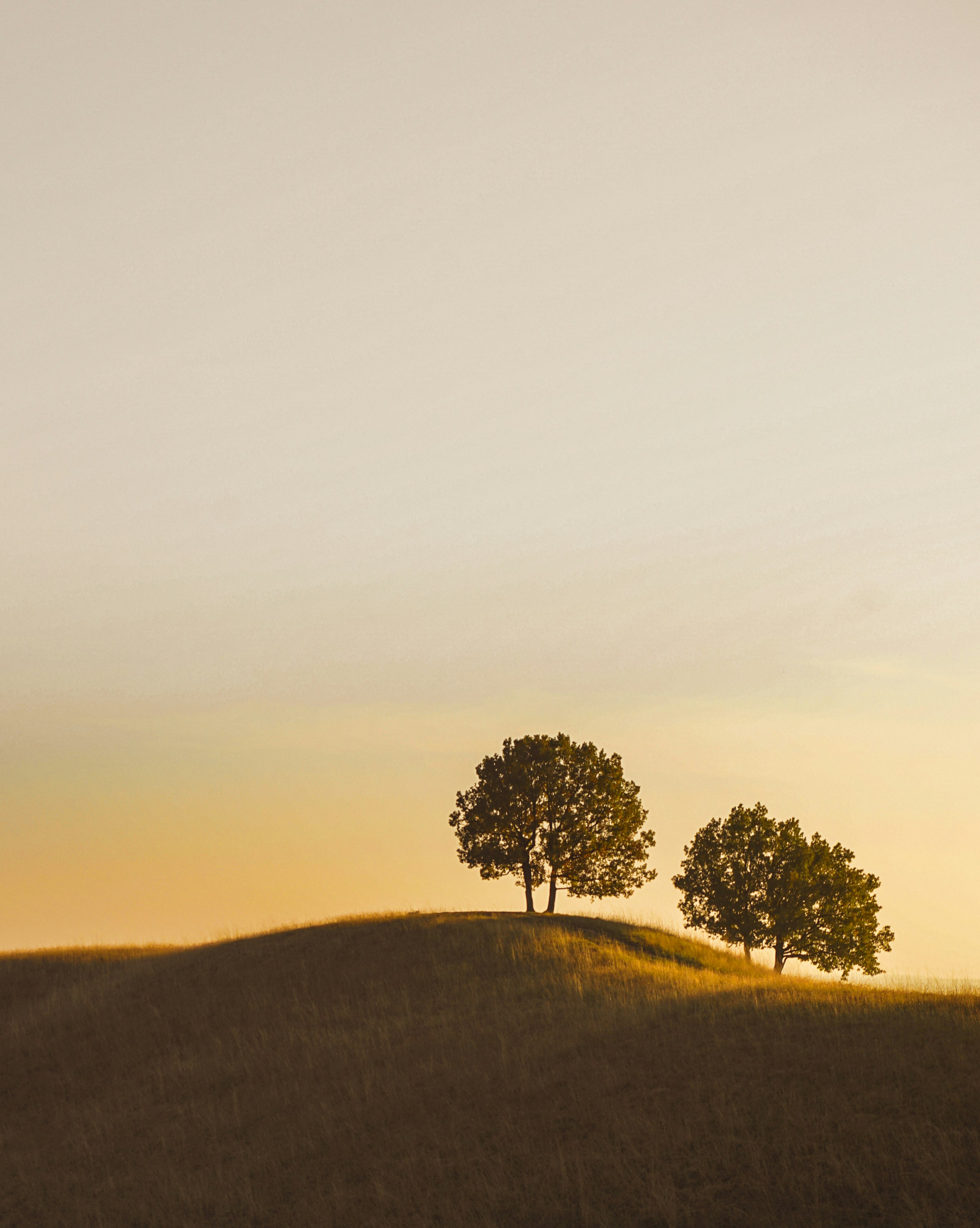 Photo by pacelineworks