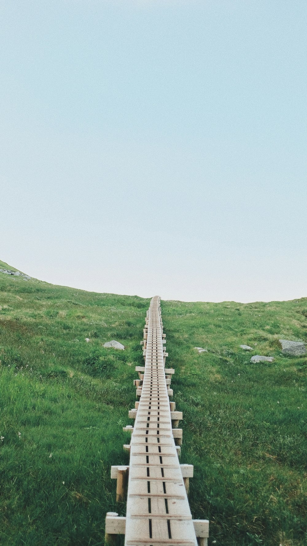 a wooden staircase on a grassy hill