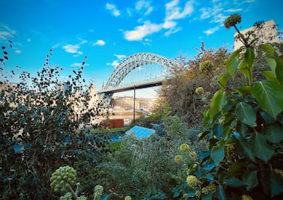 Newcastle upon Tyne car wash services