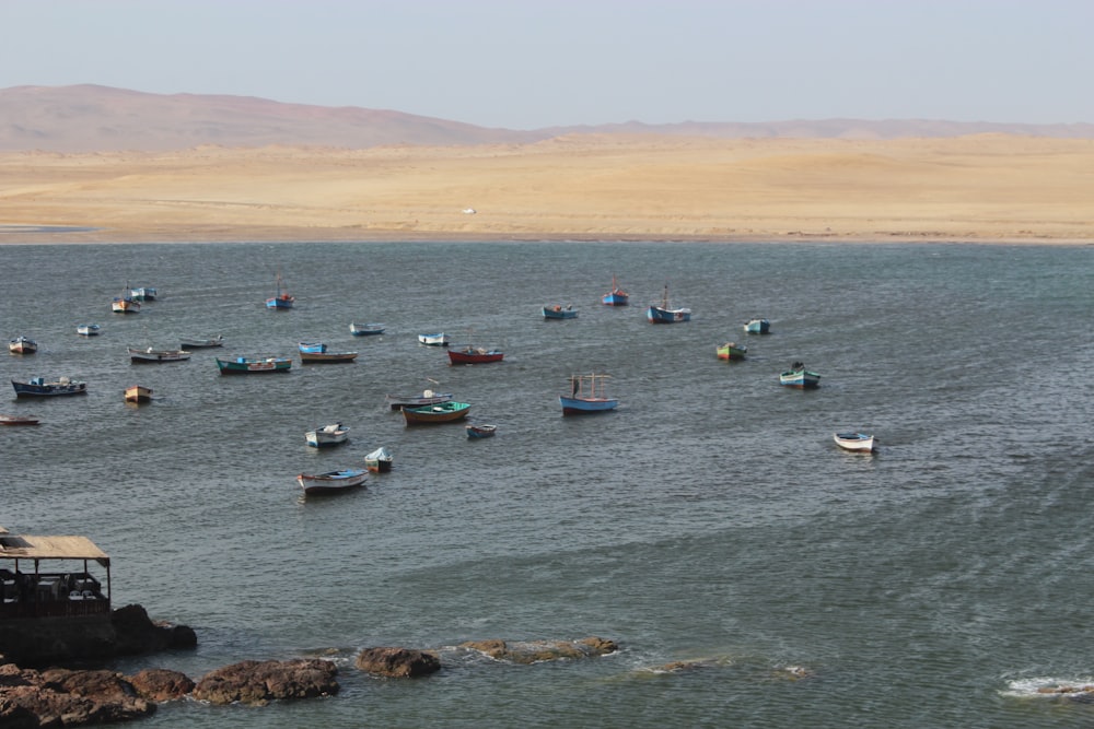 a group of boats in a body of water