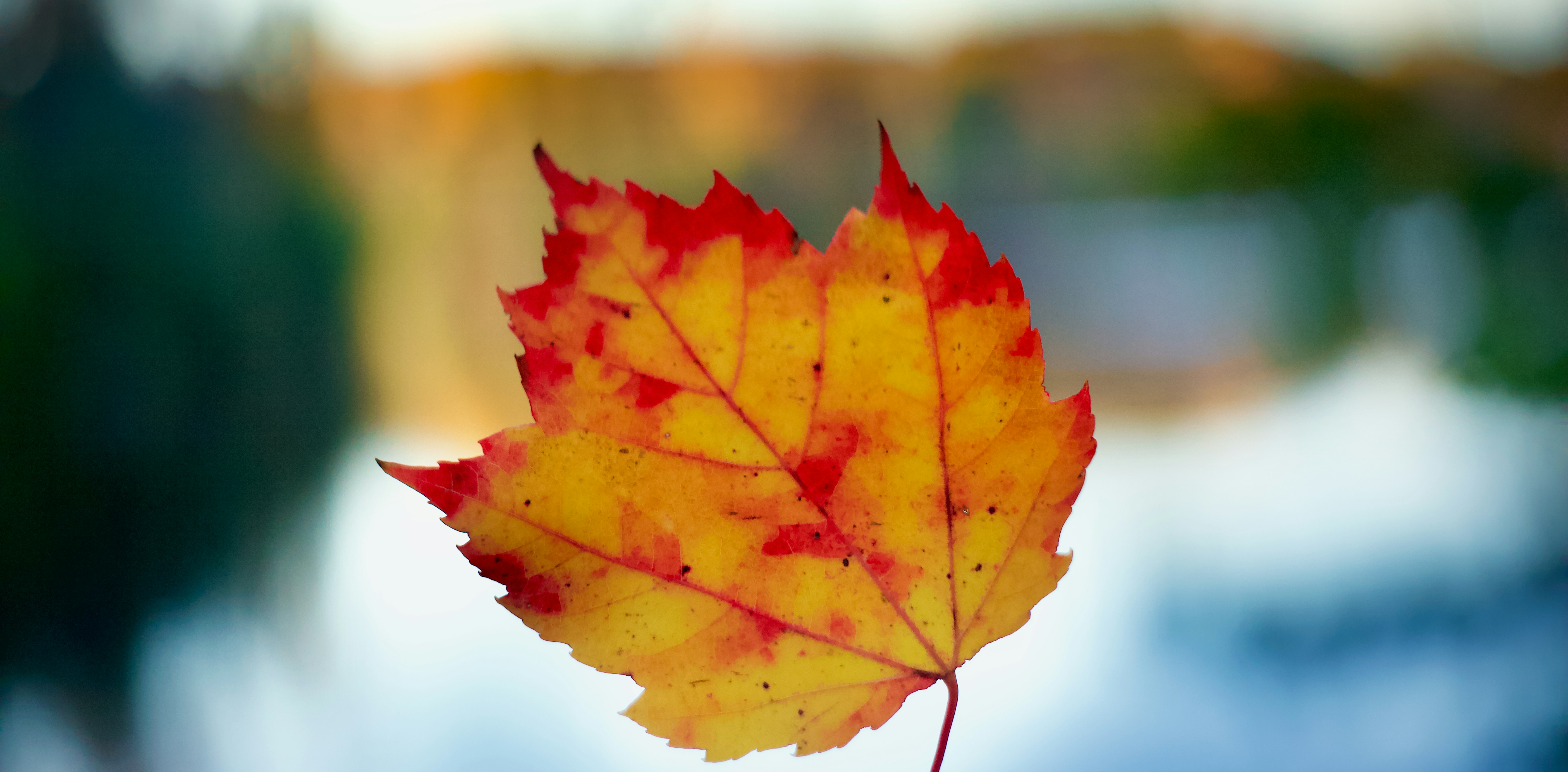 Photo by jpunsplash99