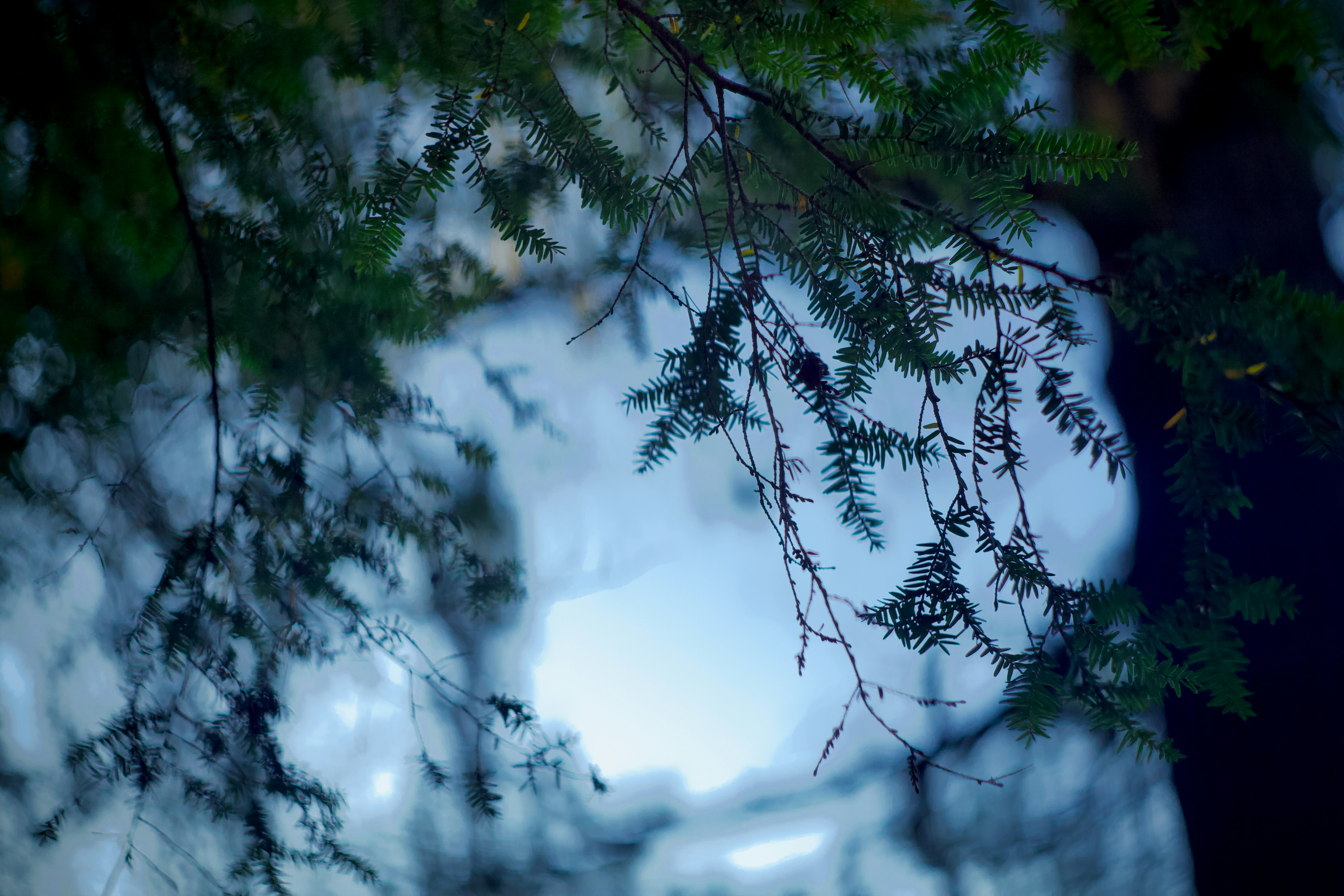 Photo by jpunsplash99