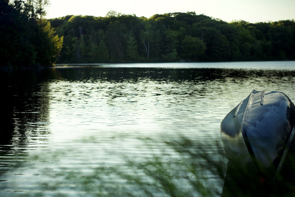 a body of water with trees in the background