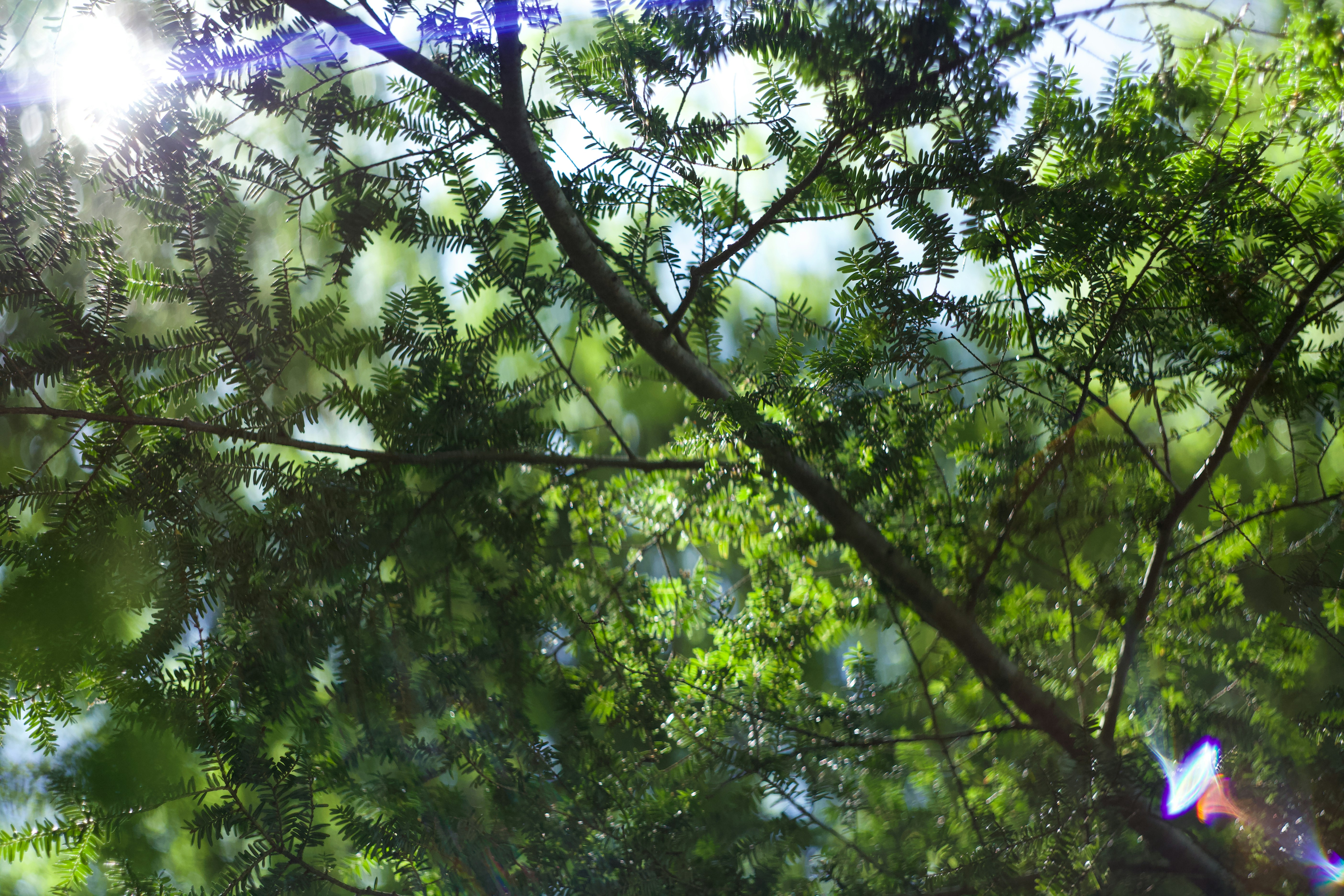 Photo by jpunsplash99