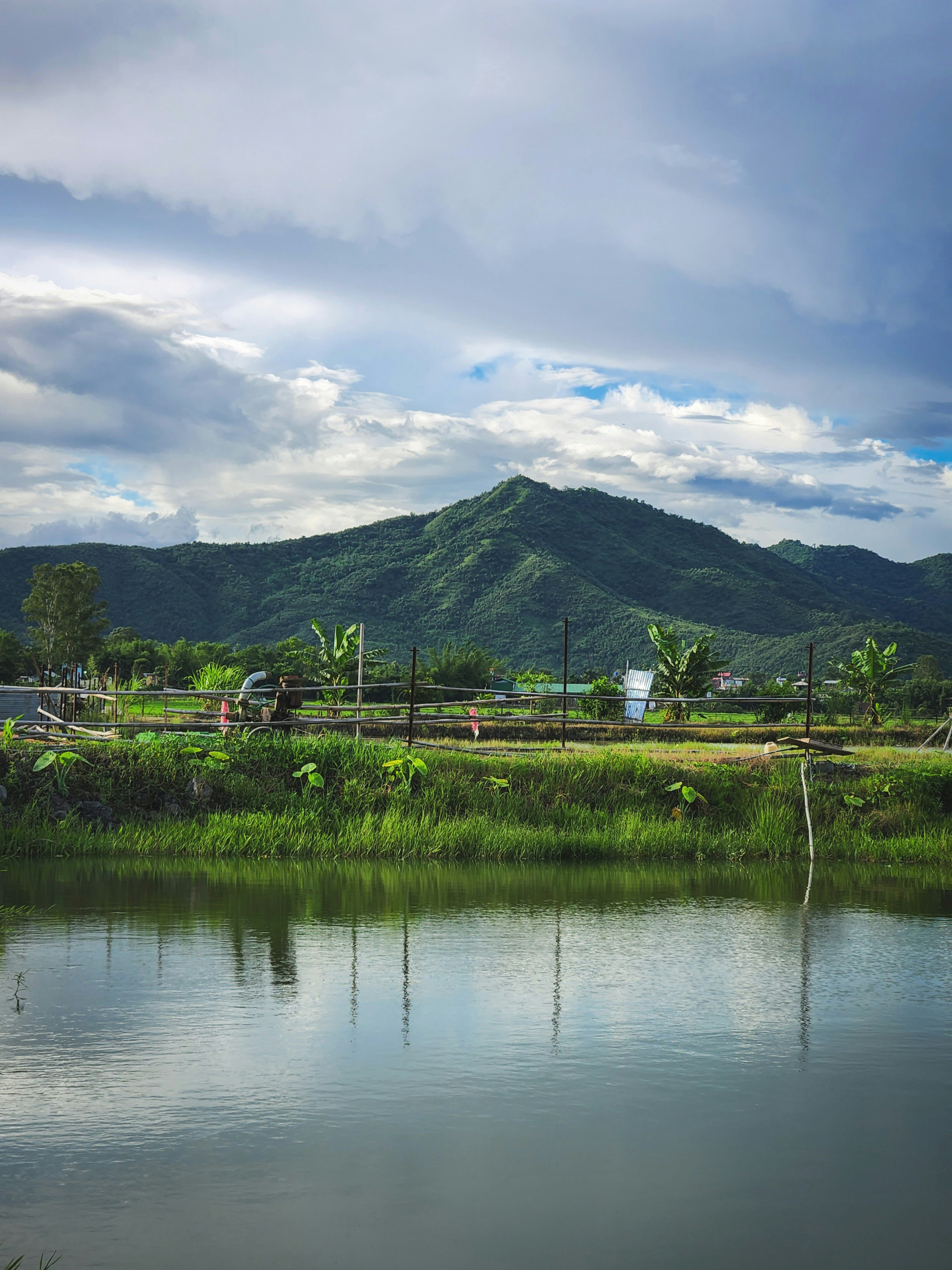 ein Gewässer mit Pflanzen und Bäumen drum herum