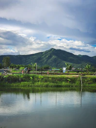 a body of water with plants and trees around it