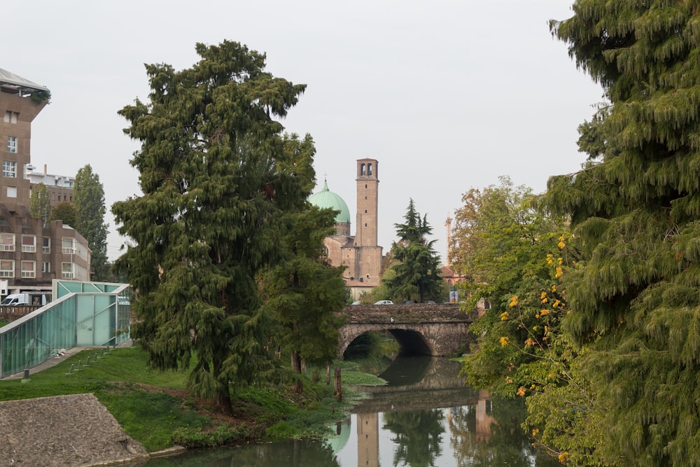 a river with a bridge and trees