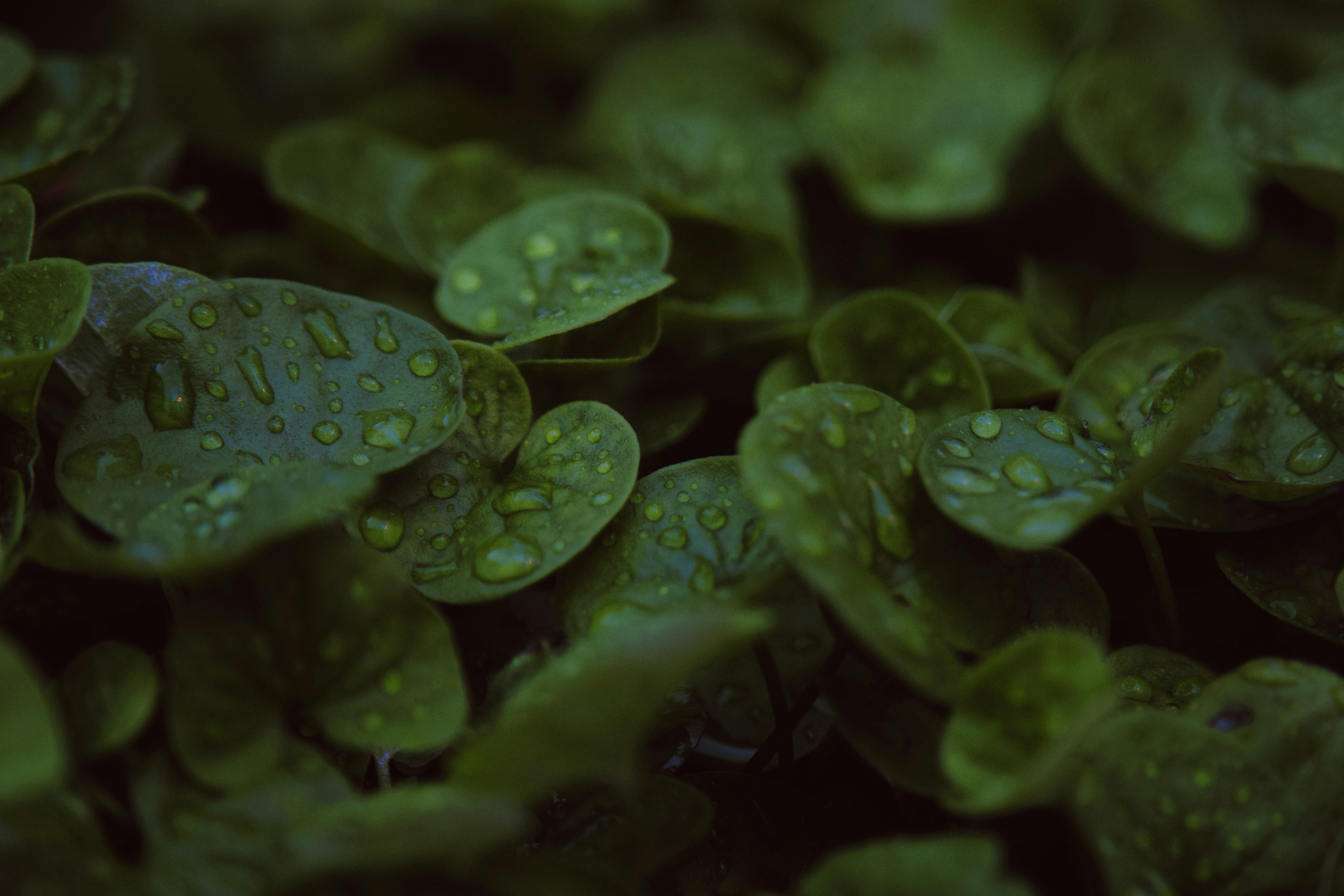 Photo by landonstefanski