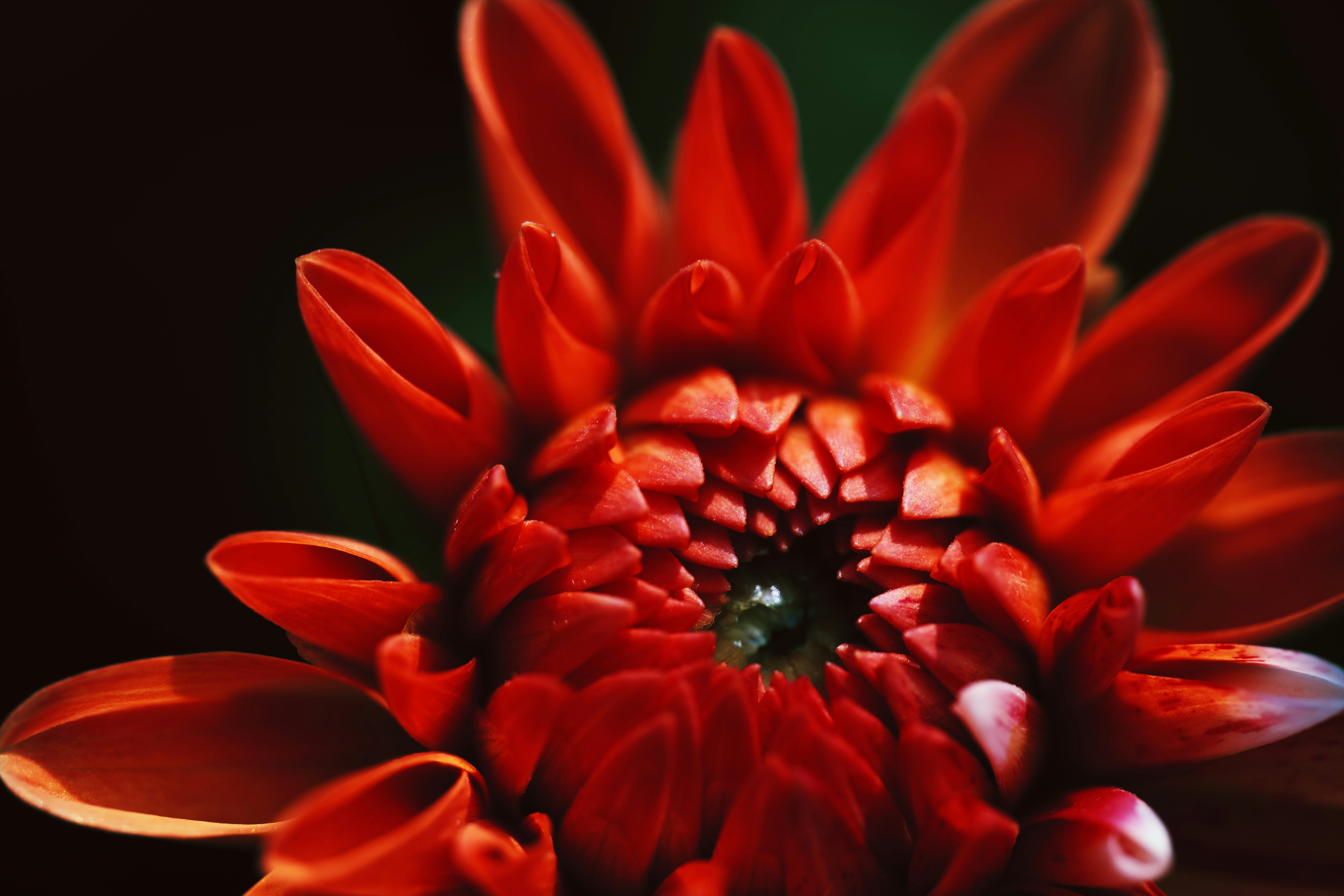 Photo by landonstefanski