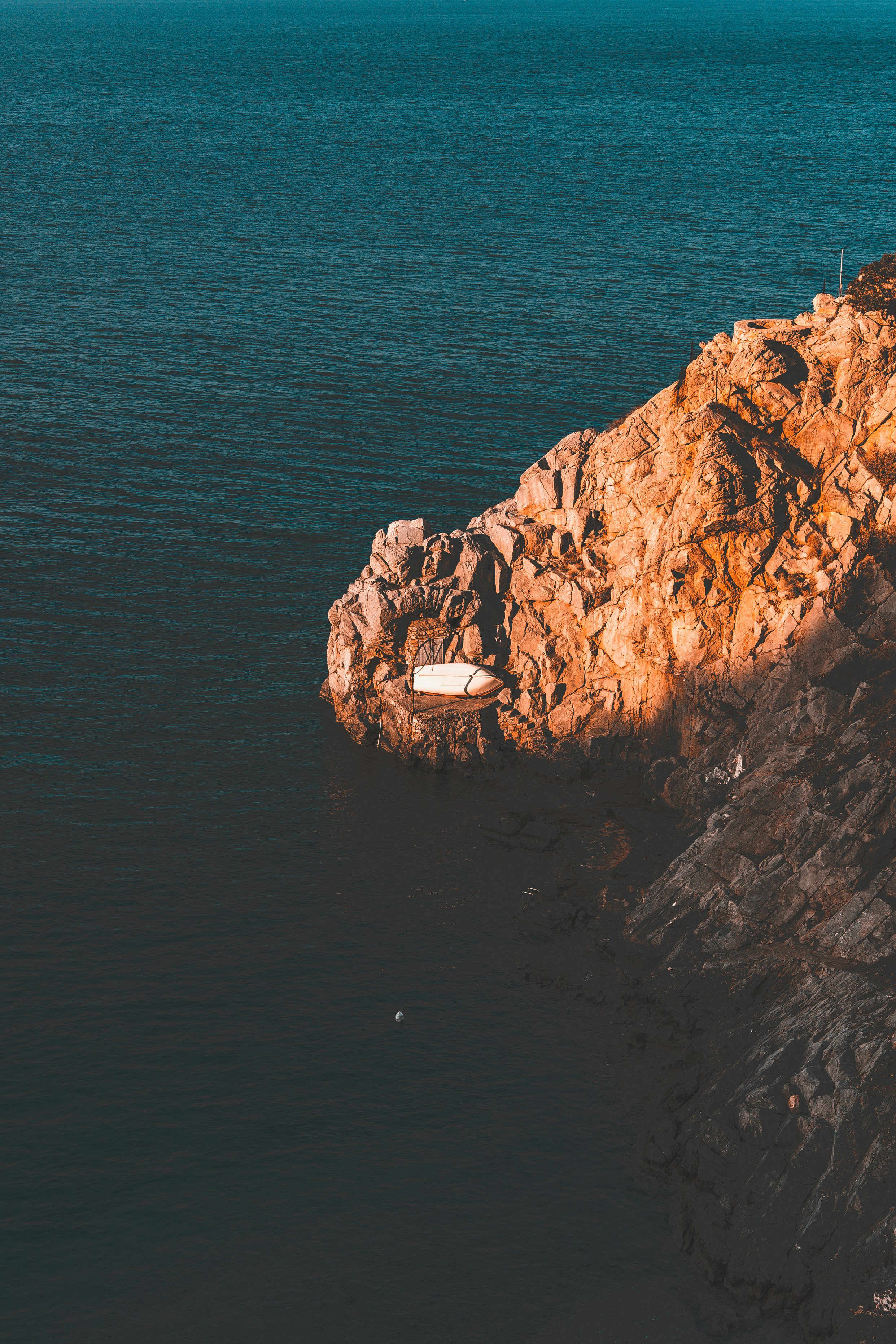 a bird on a rock