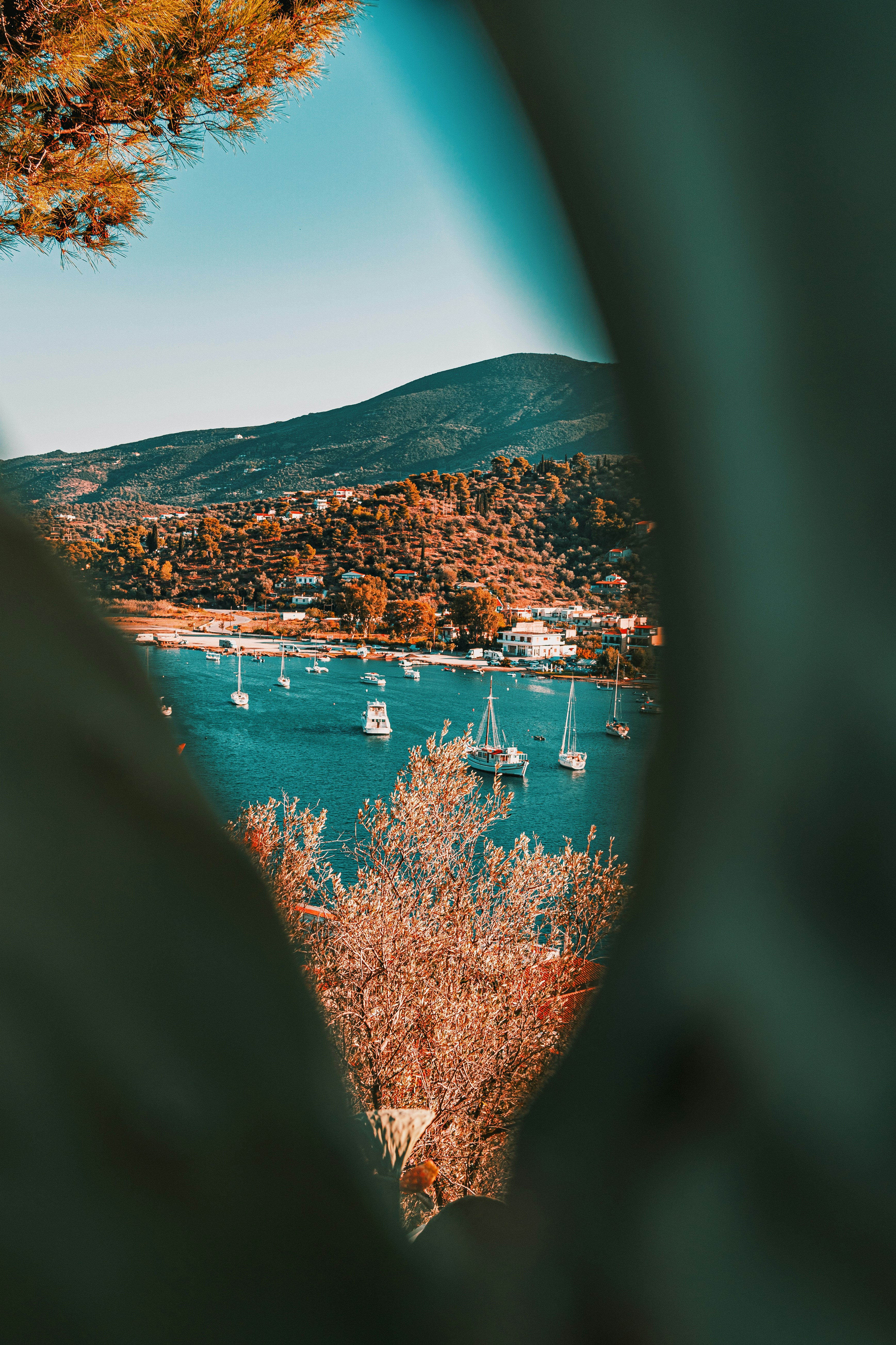 a view of a bay with boats and trees and a town