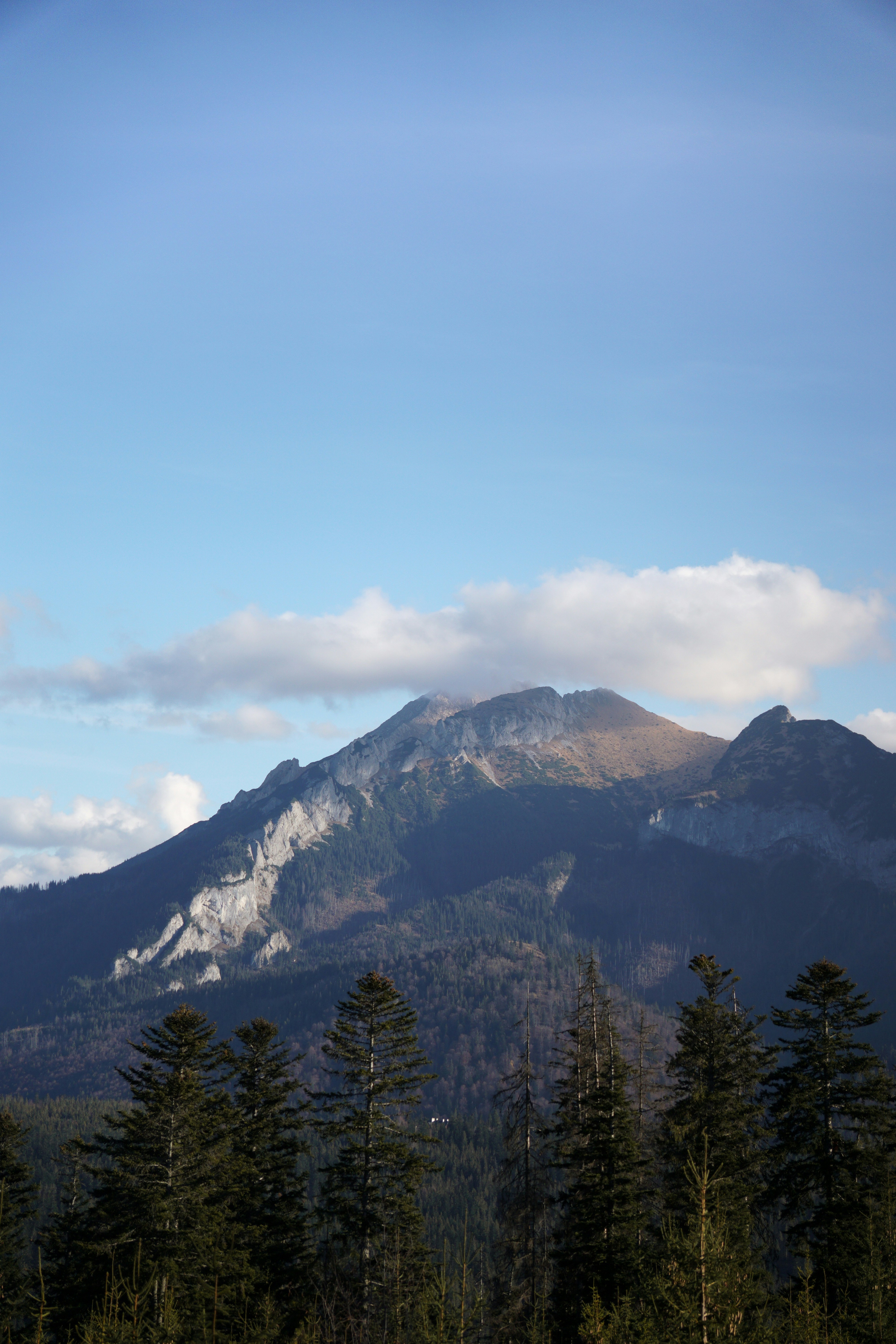 Photo by kateivanova__