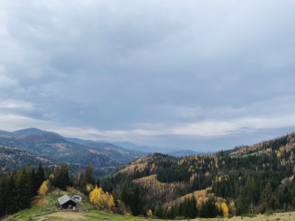 a landscape with trees and mountains