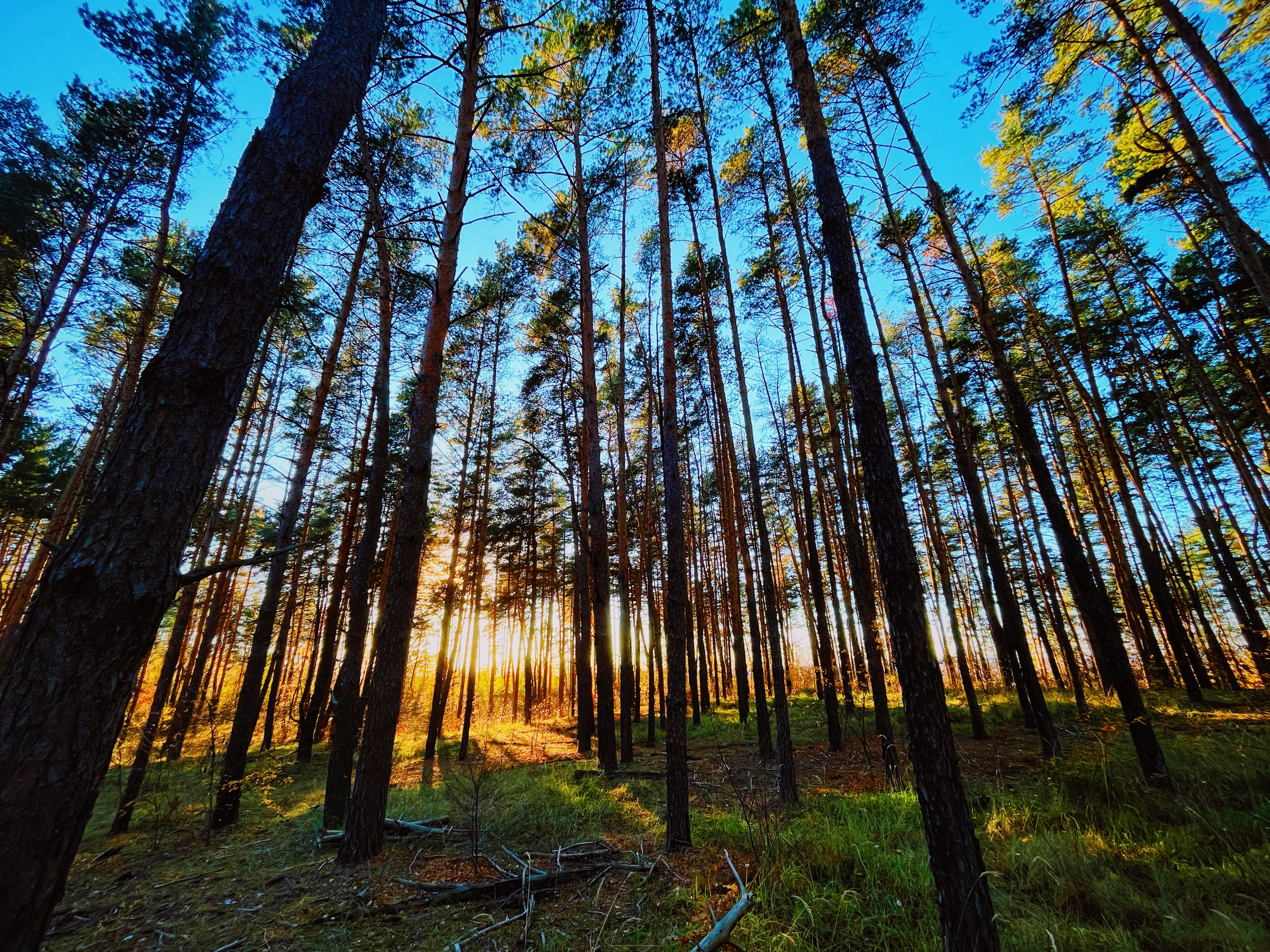 Photo by ingvar_erik