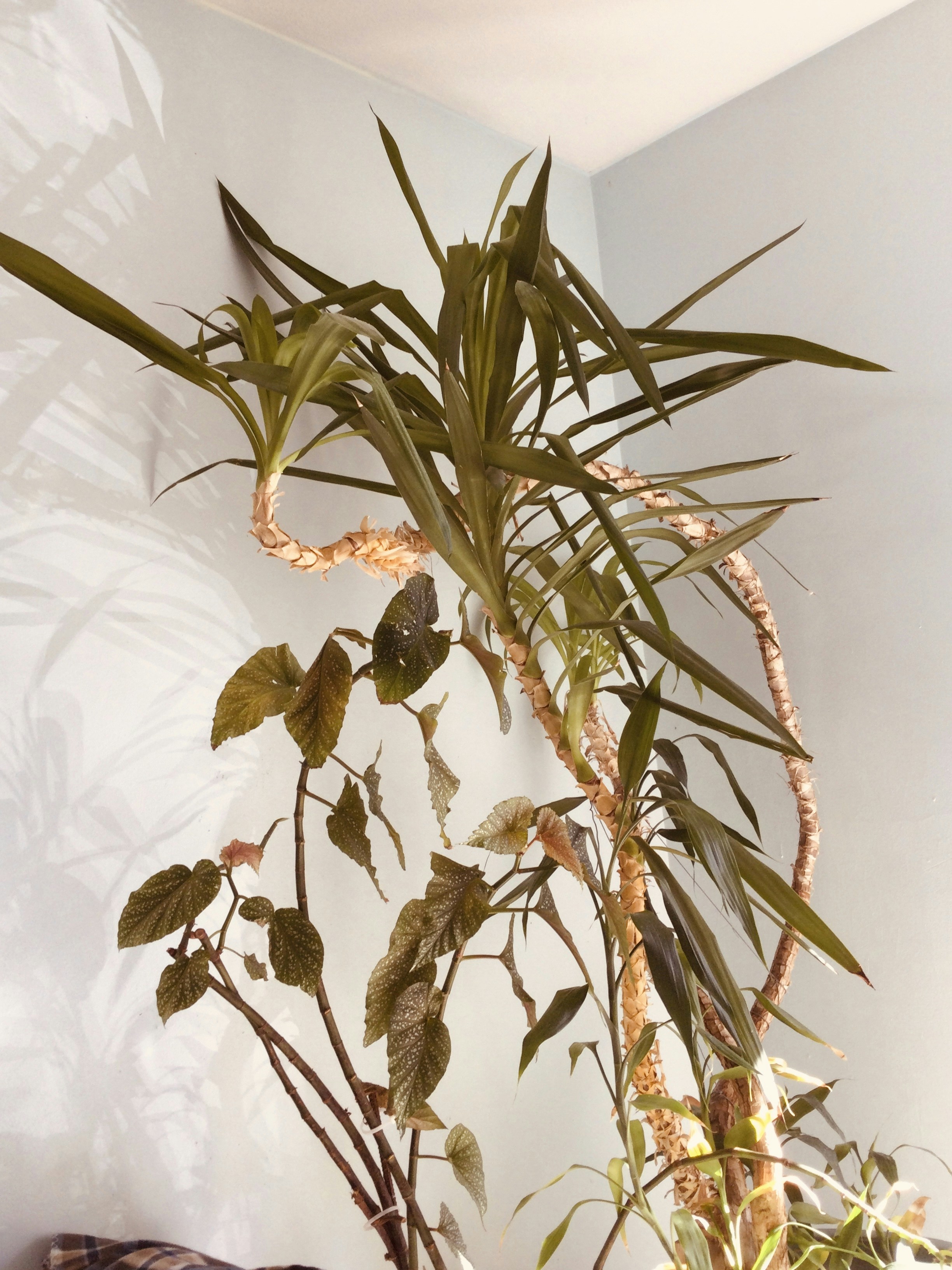 Photo by alex_nguyen14536