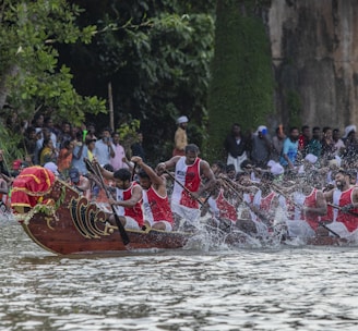 a group of people rowing boats